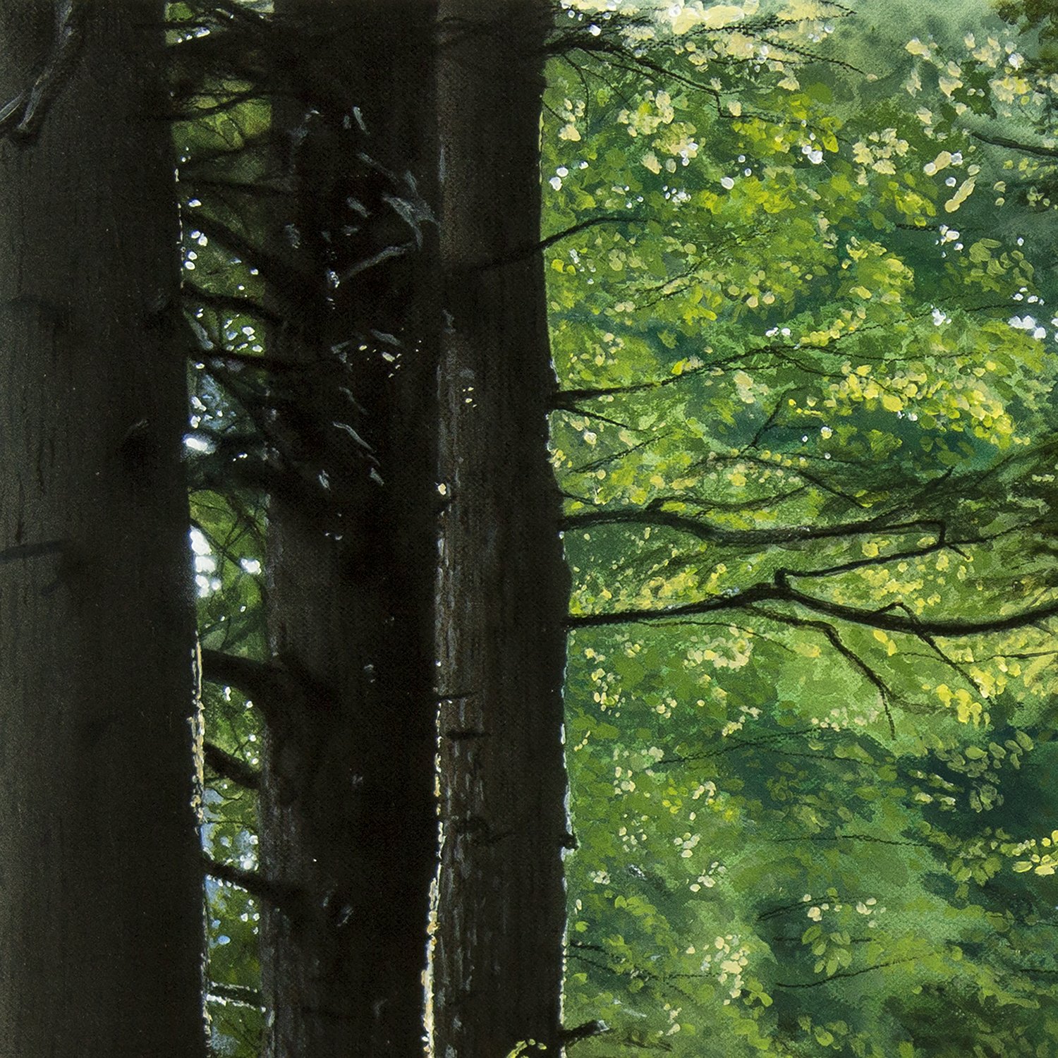 Road to light detail1.jpg