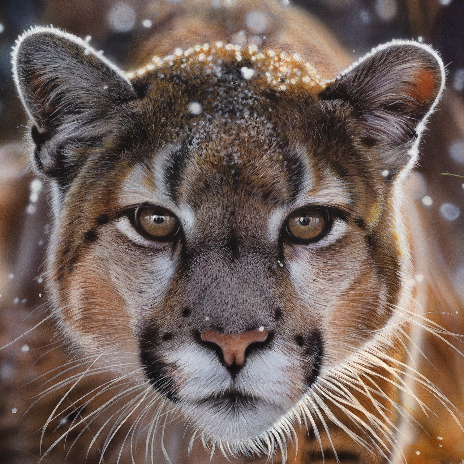 You look delicious detail1.jpg