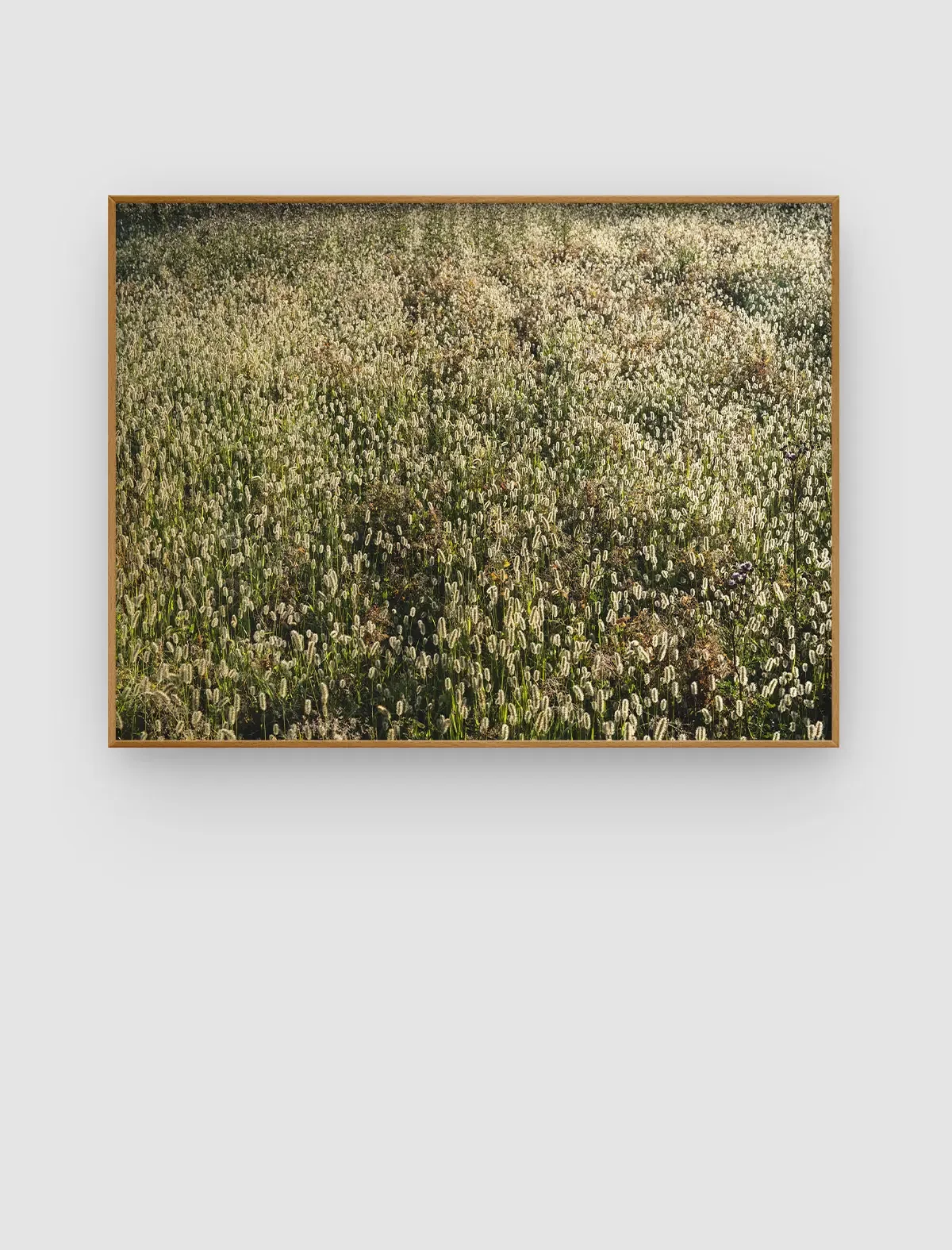 ©SonjaPriller_flourish_wild_5592.webp