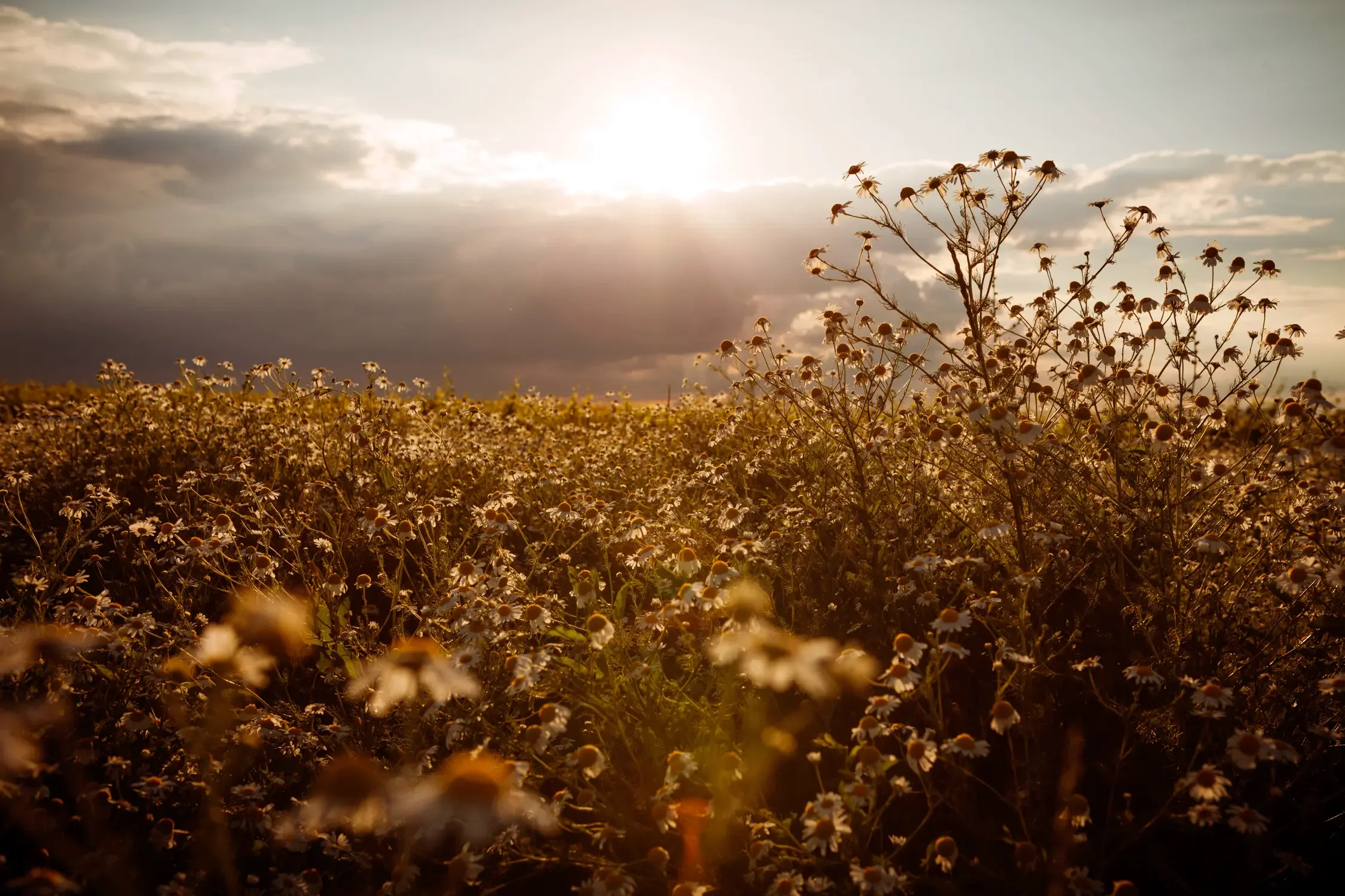 ©SonjaPriller-Wenzel-Terroir_7177-2.webp