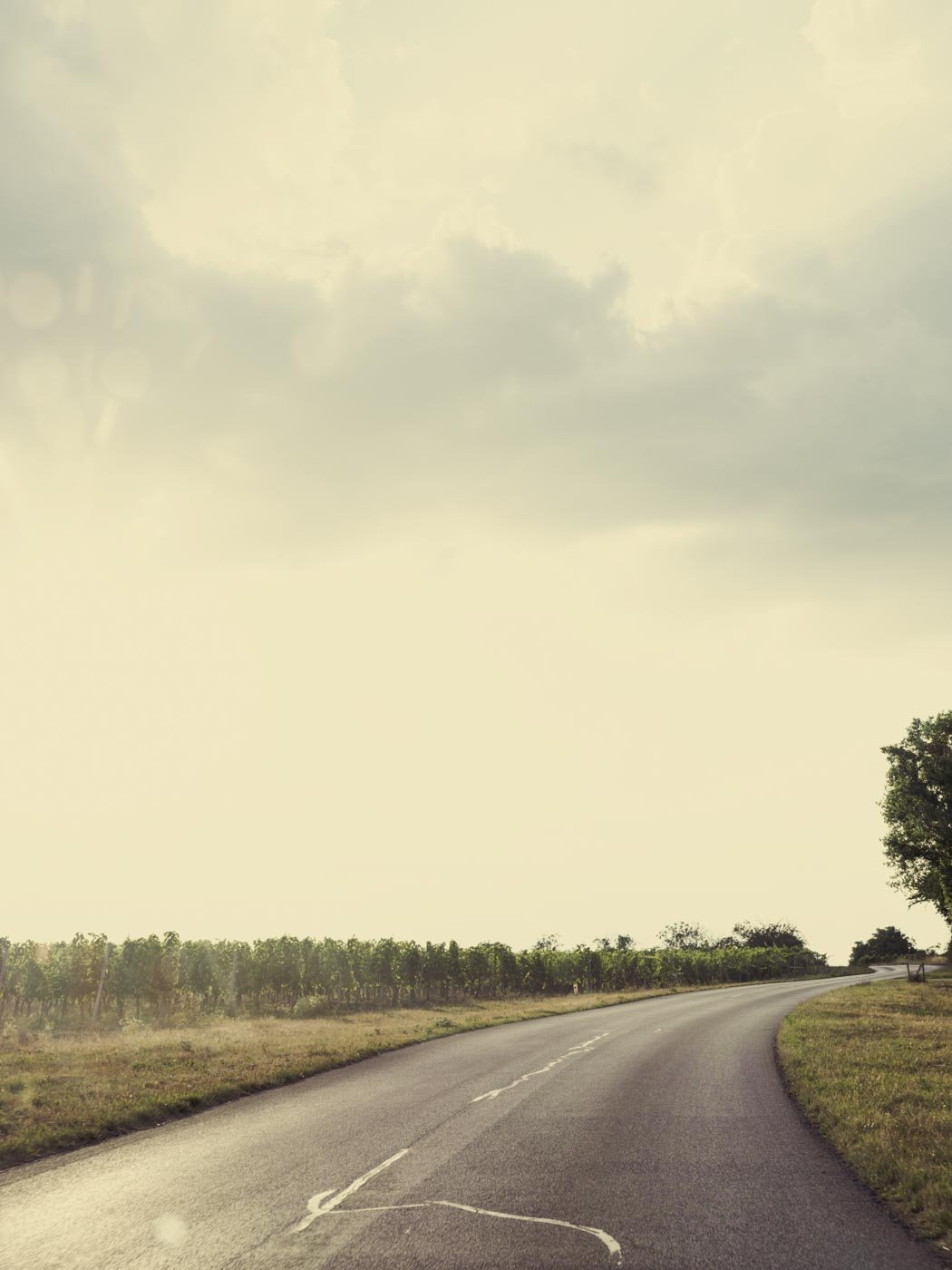 ©SonjaPriller_ROADS-1042.jpg