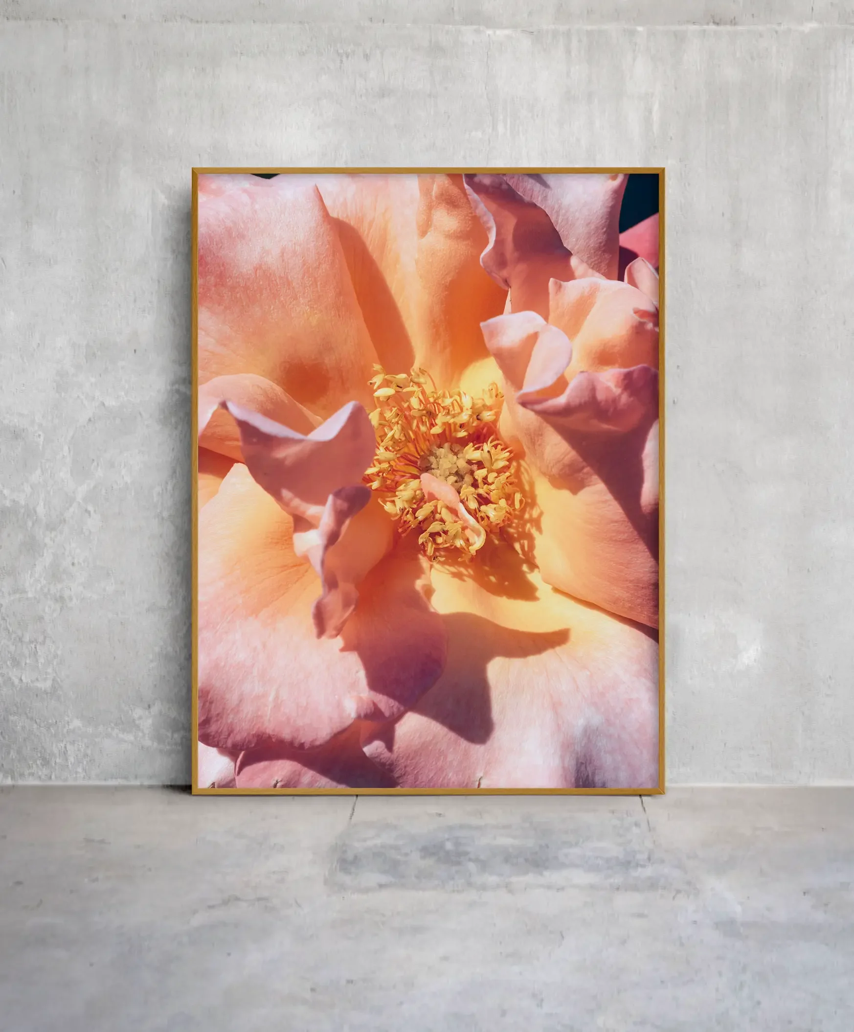 ©SonjaPriller_flourish_Botanical_2900.webp