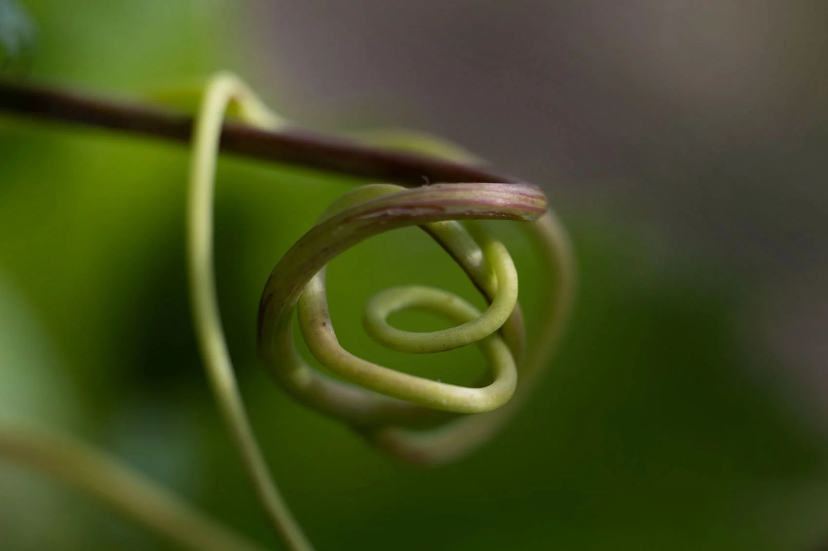©SonjaPriller_DSF3568.jpg