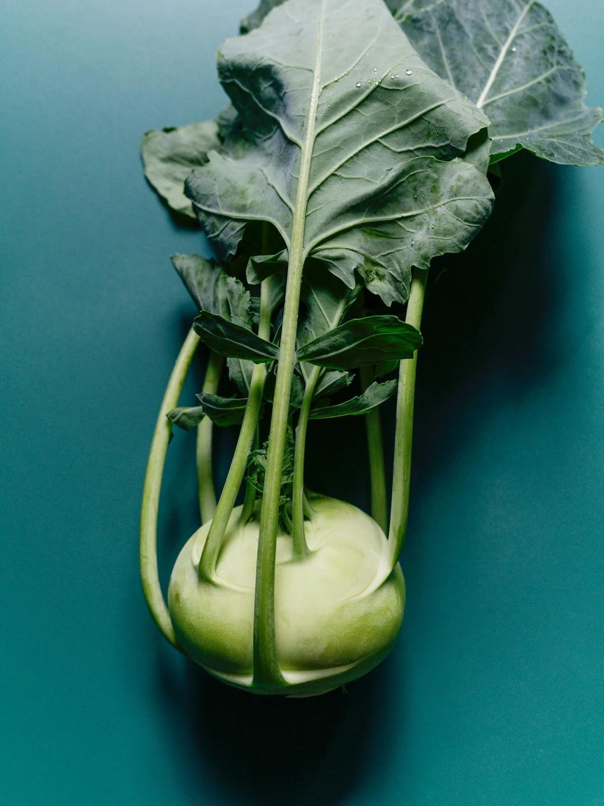 ©SonjaPriller_Kohlrabi_DSC2169.jpg