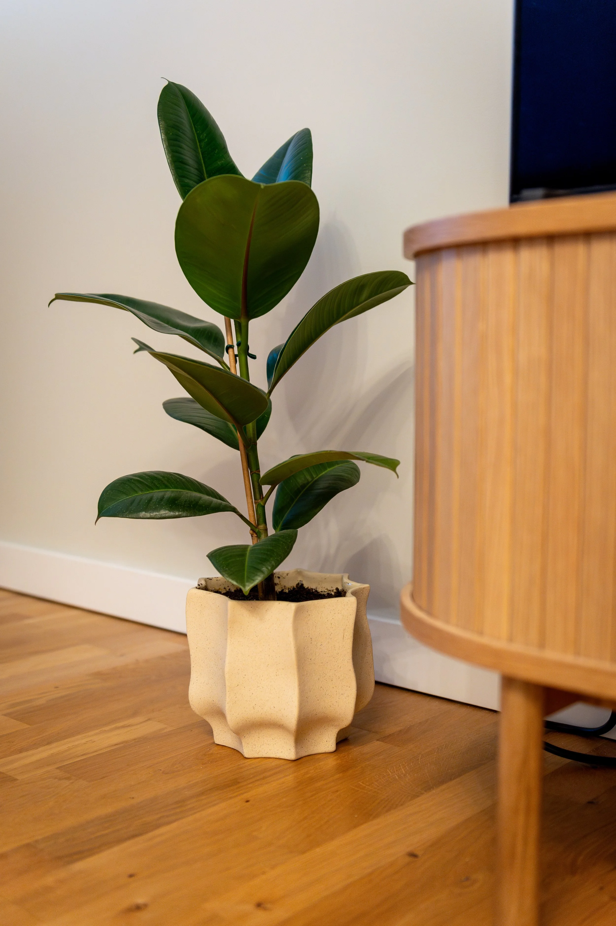 Sundazed Interiors -21.jpg