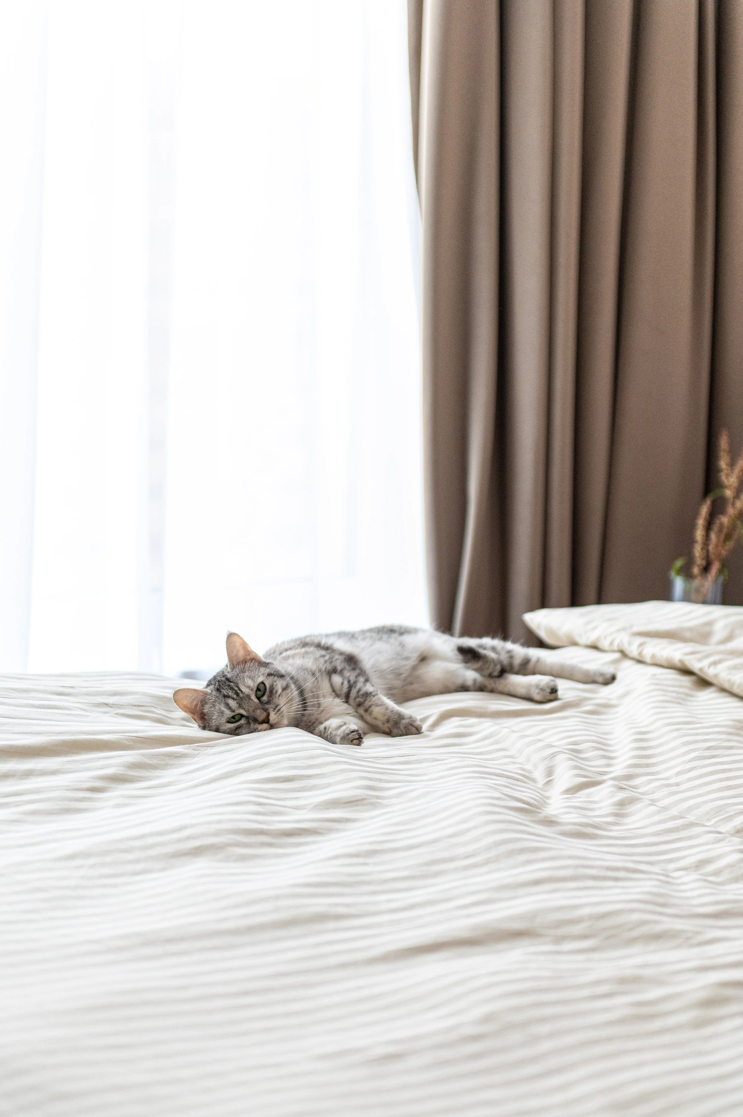 SundazedInteriorsJune2026-19.jpg