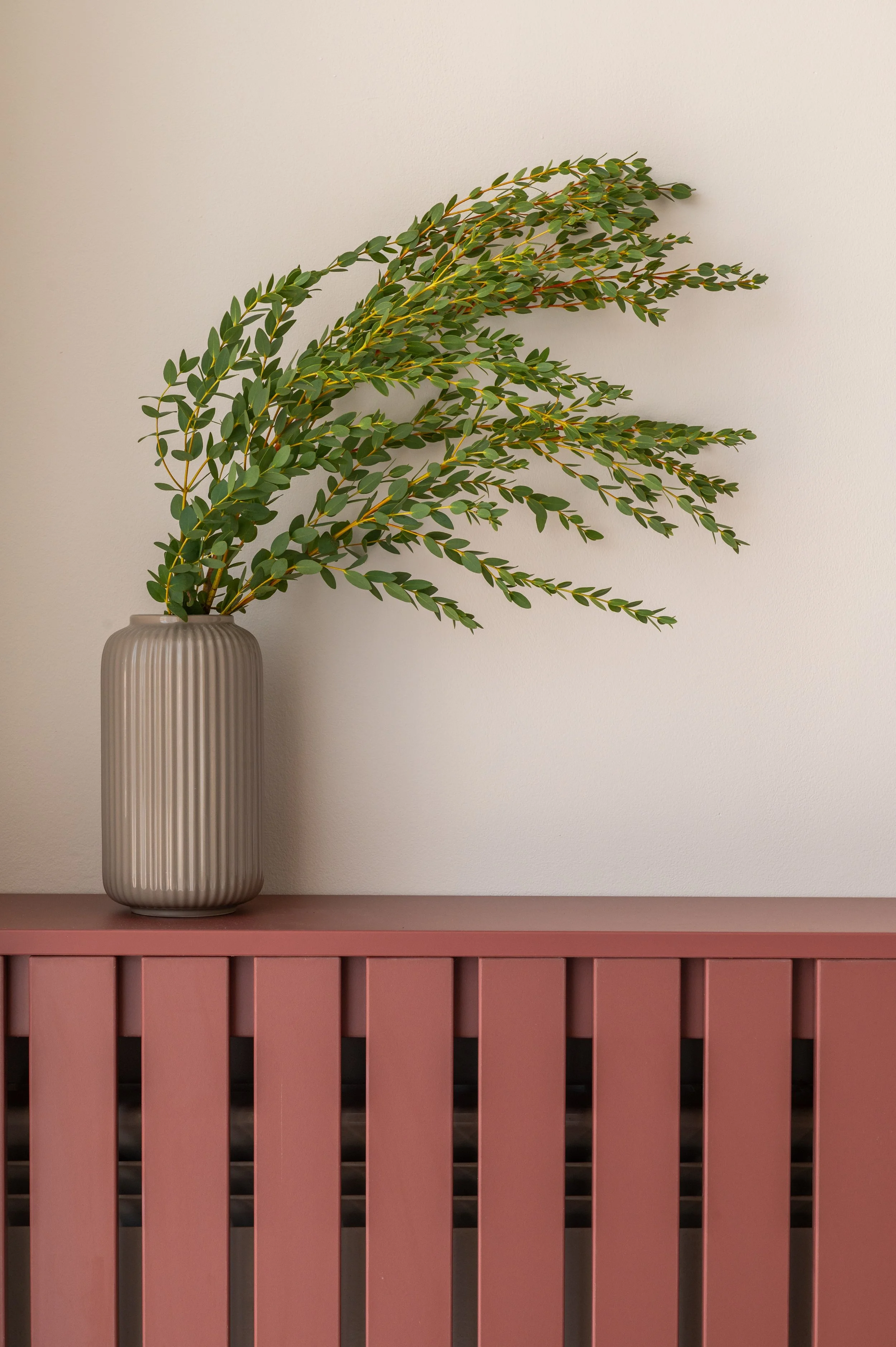 Sundazed Interiors Mar 2026-11.jpg