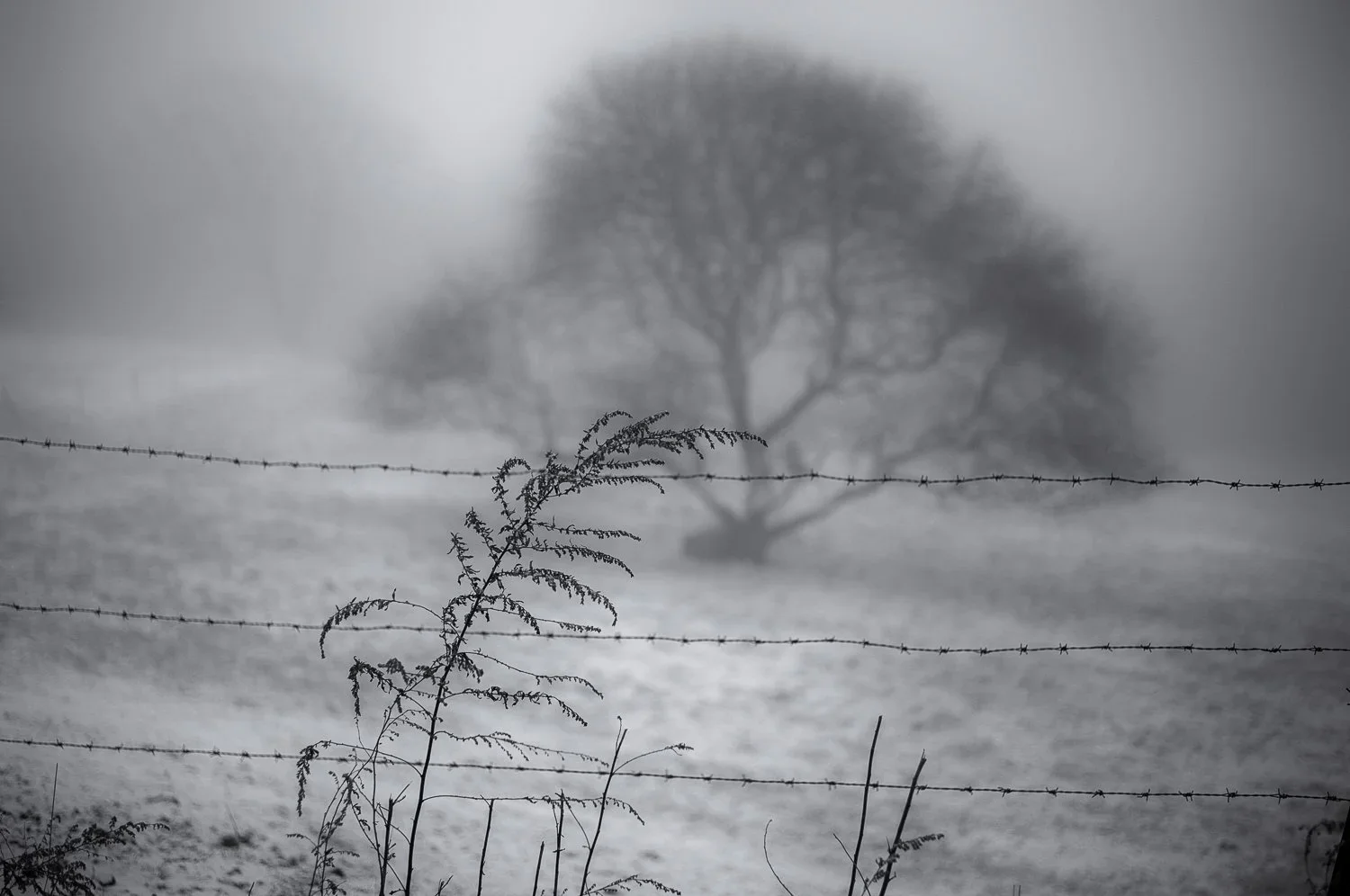 not alone in the cold