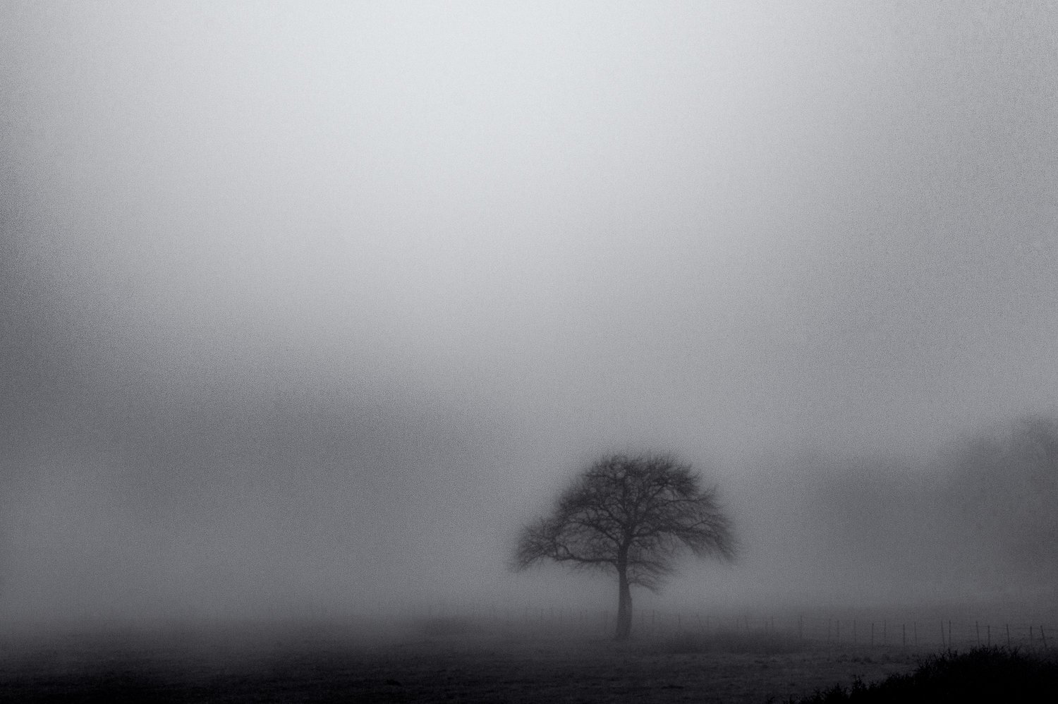 solitude