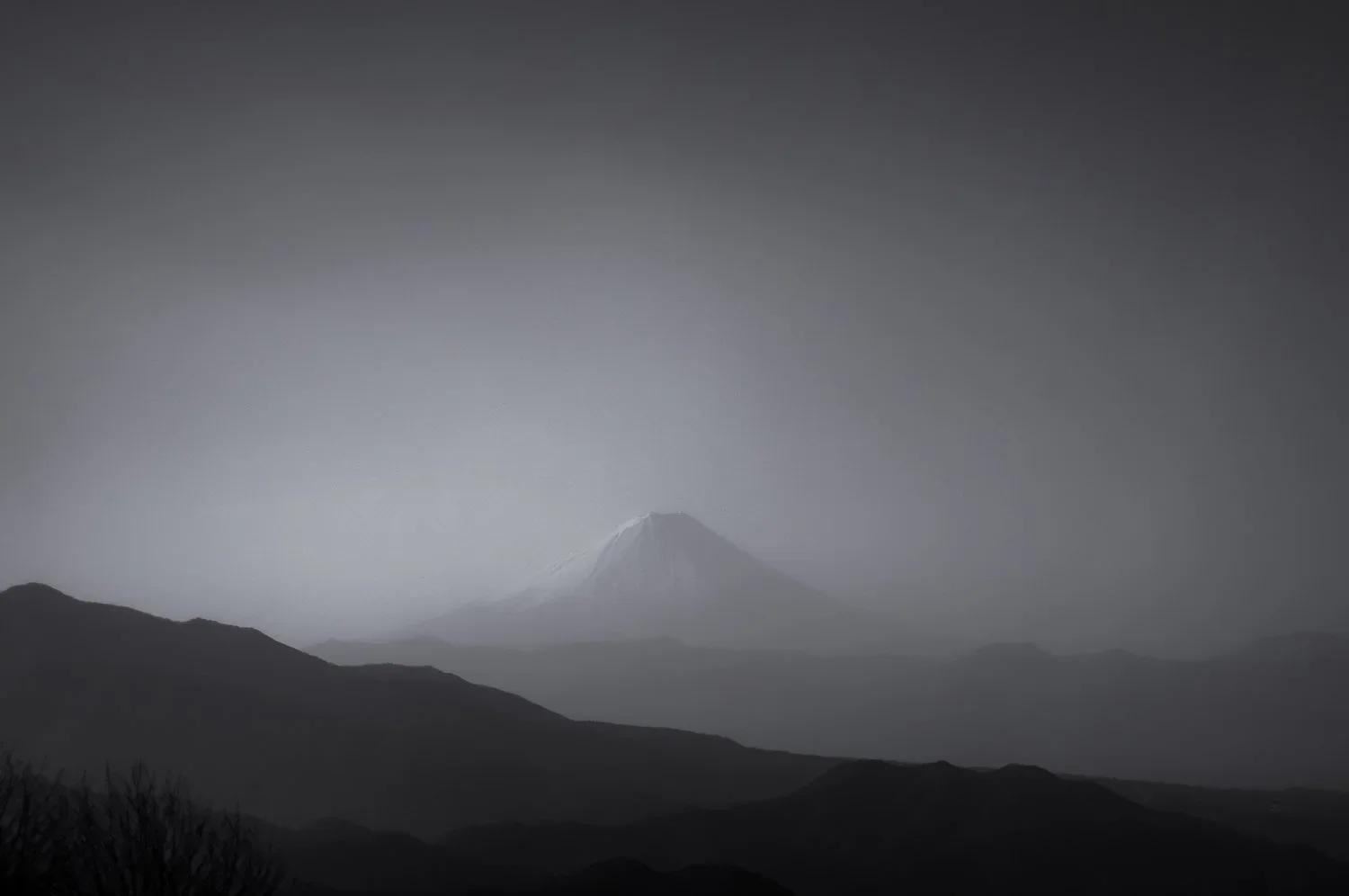 spring is in the air