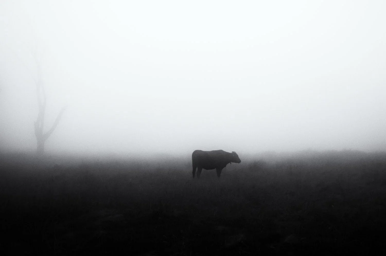 Which way to happiness?