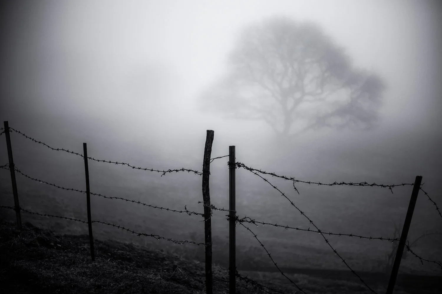 spring is in the air /10