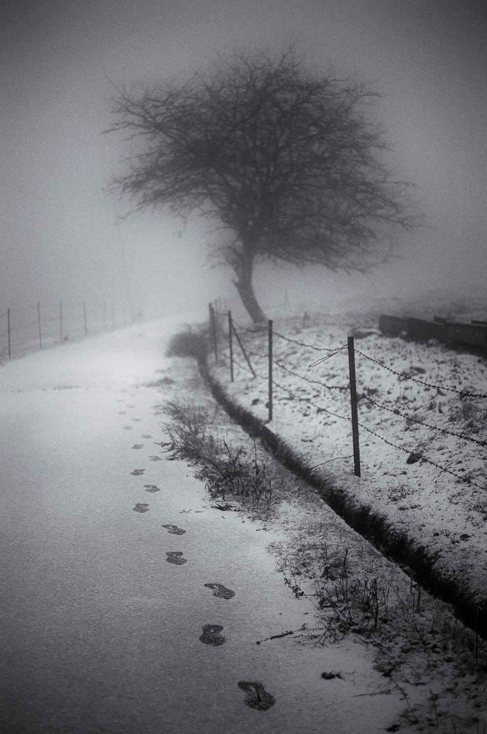 traces...