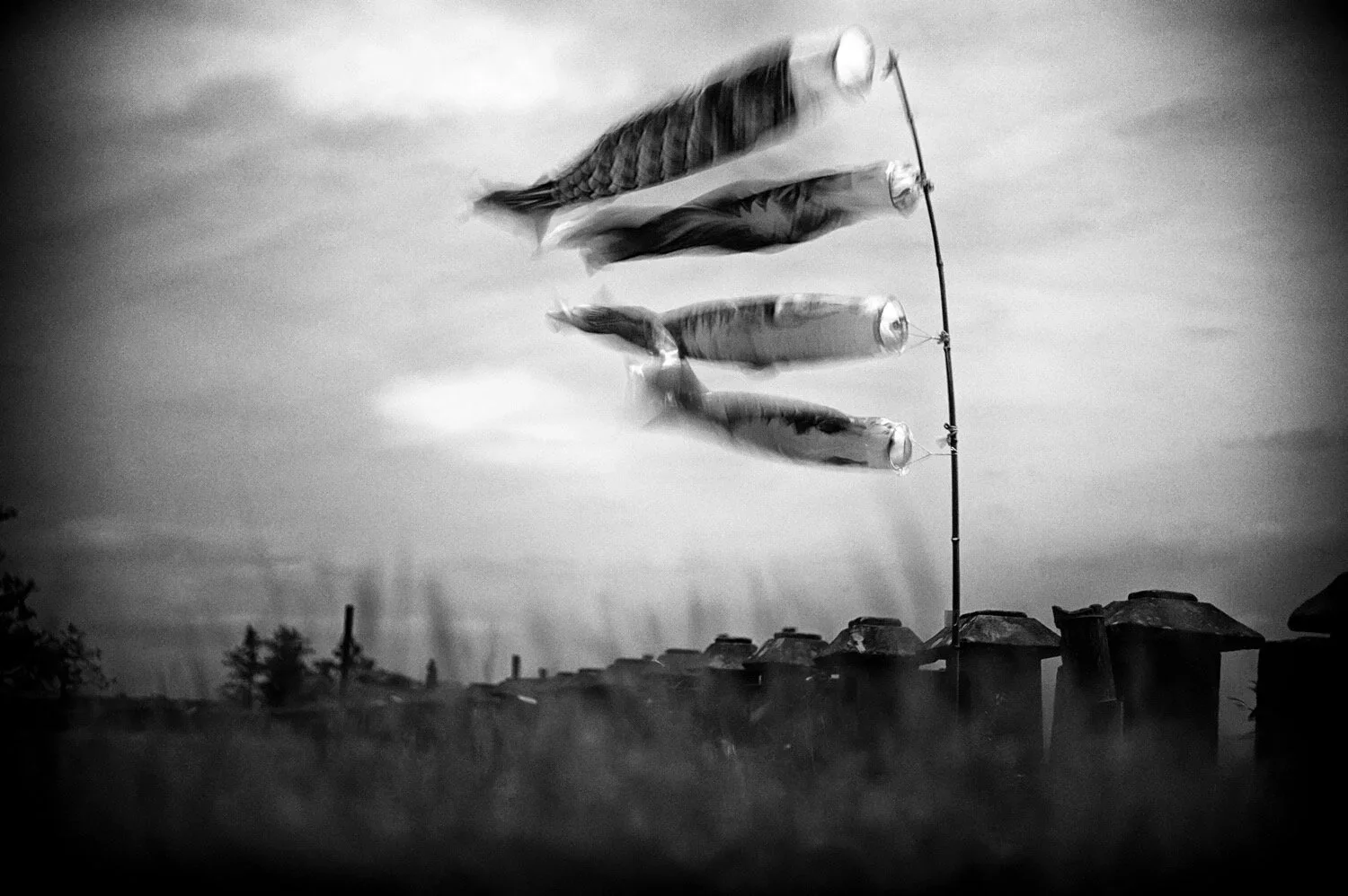 Soryuji, Izumo, Shimane