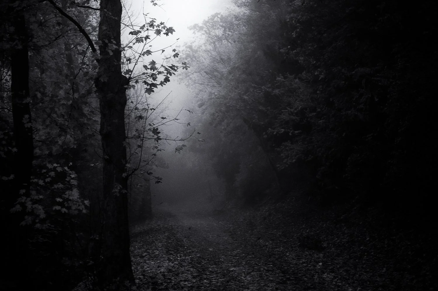 silent sunrise