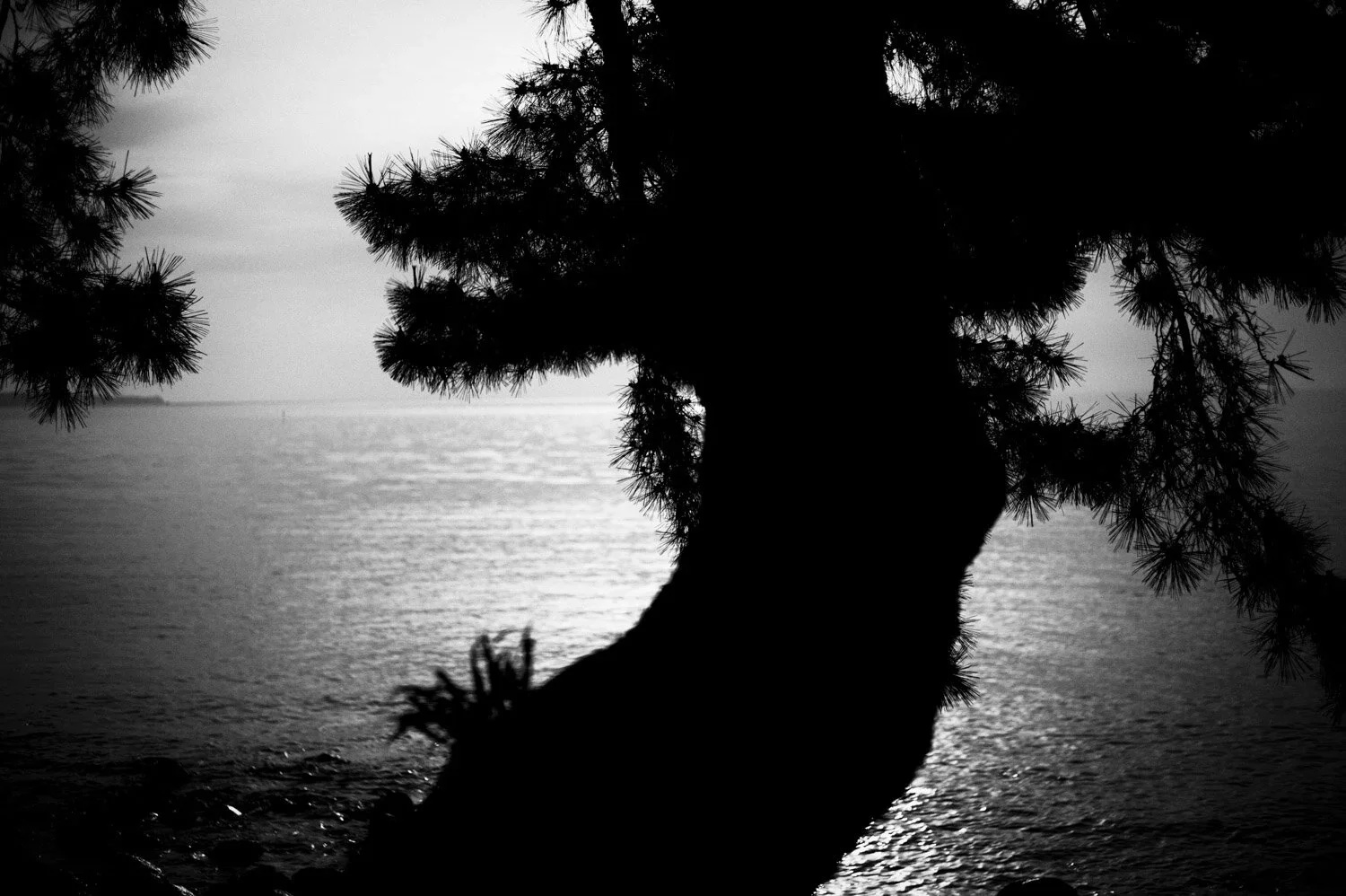 Shoningahama, Beppu, Oita