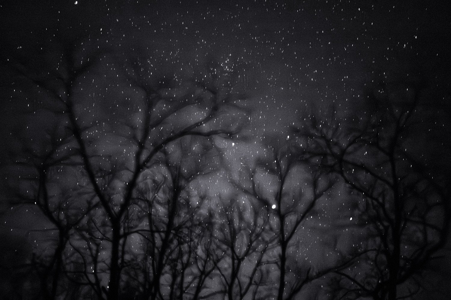 starry night
