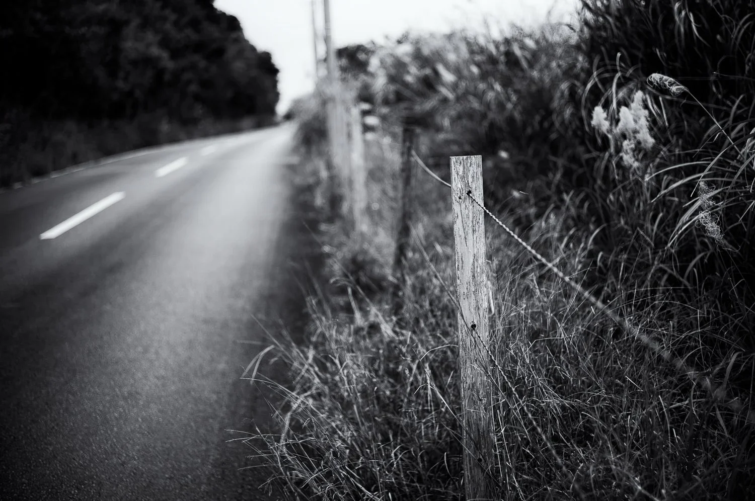 Kouri Island, Okinawa (3)