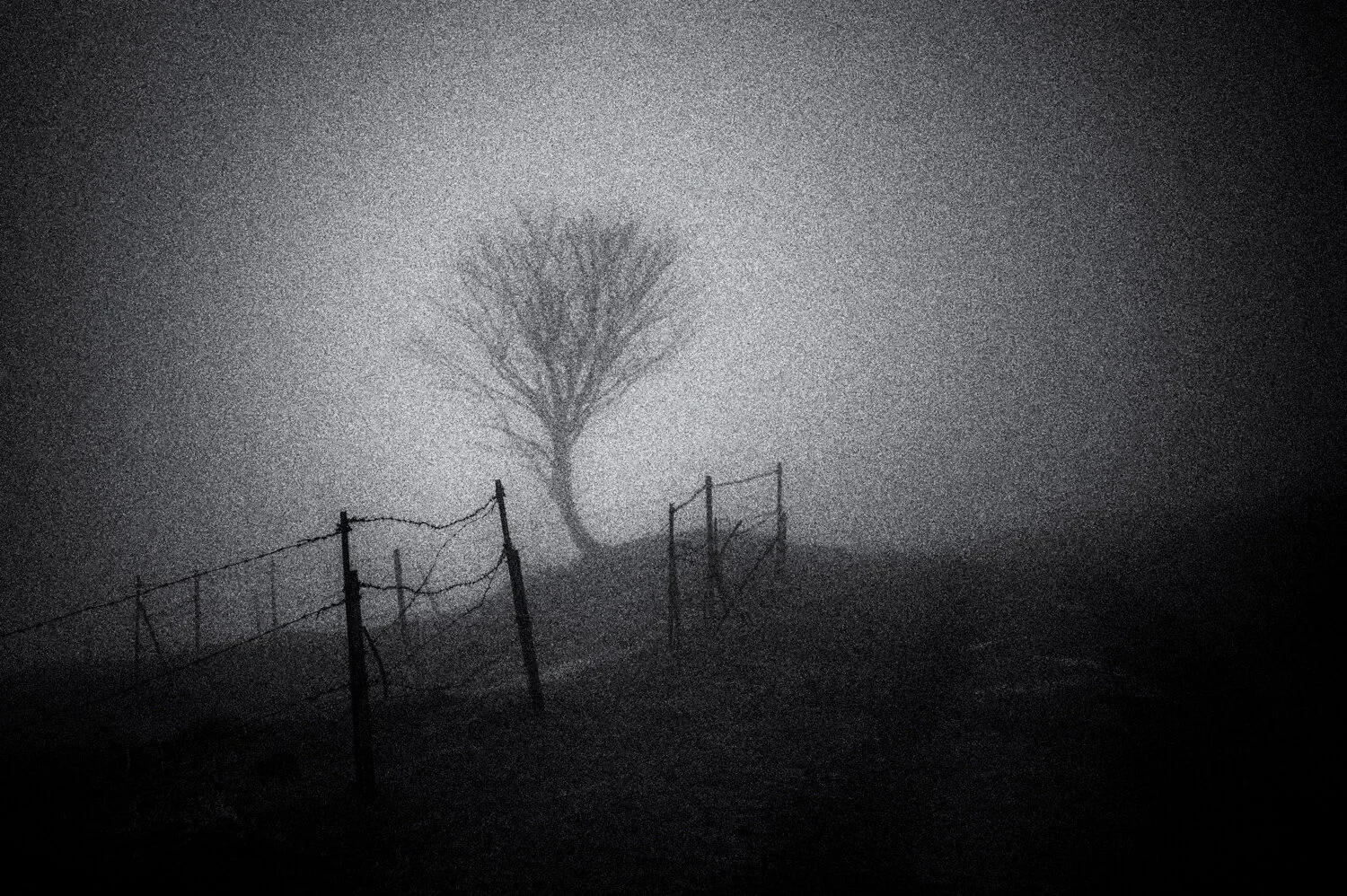 Yatsugatake: magic fog /9