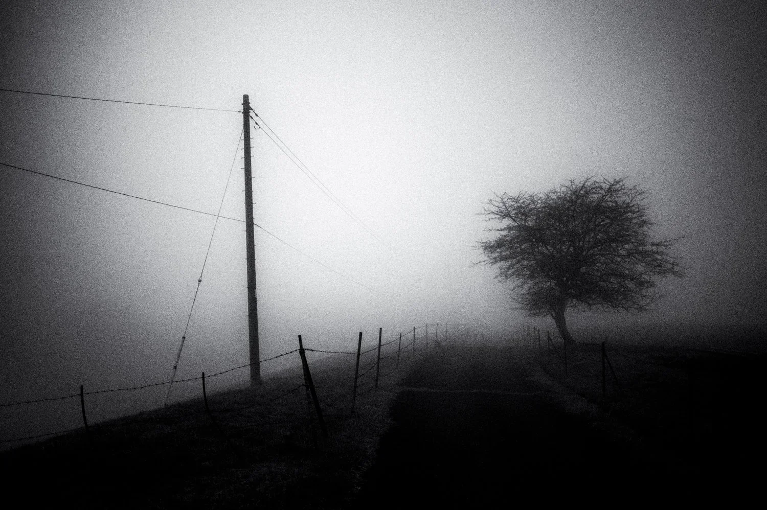 Yatsugatake: morning walk /2