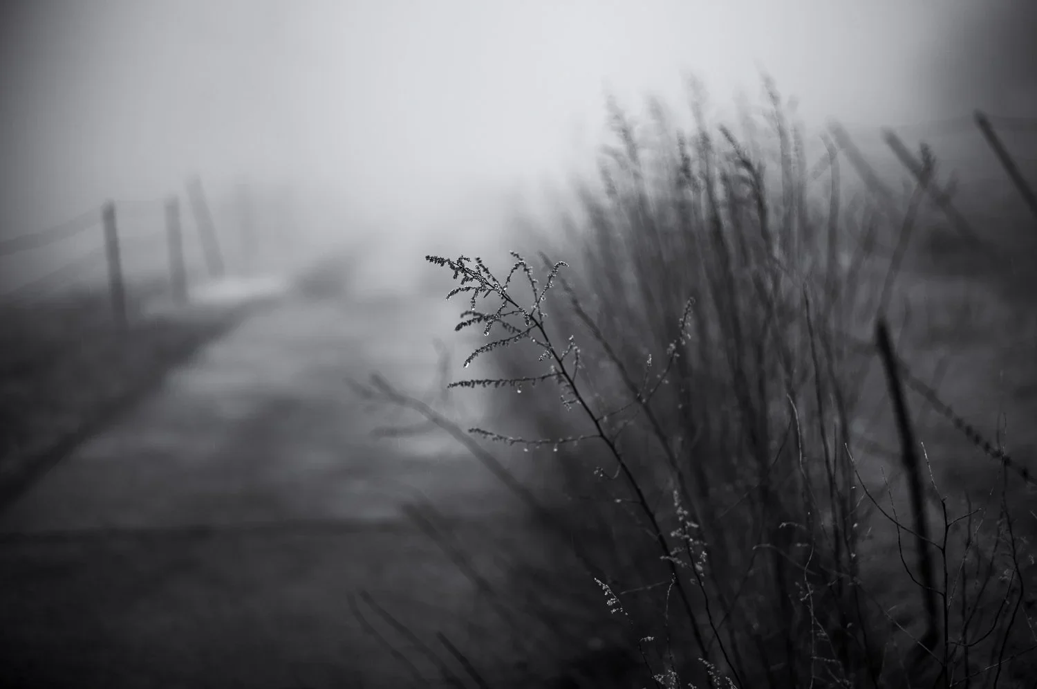 spring is in the air /8