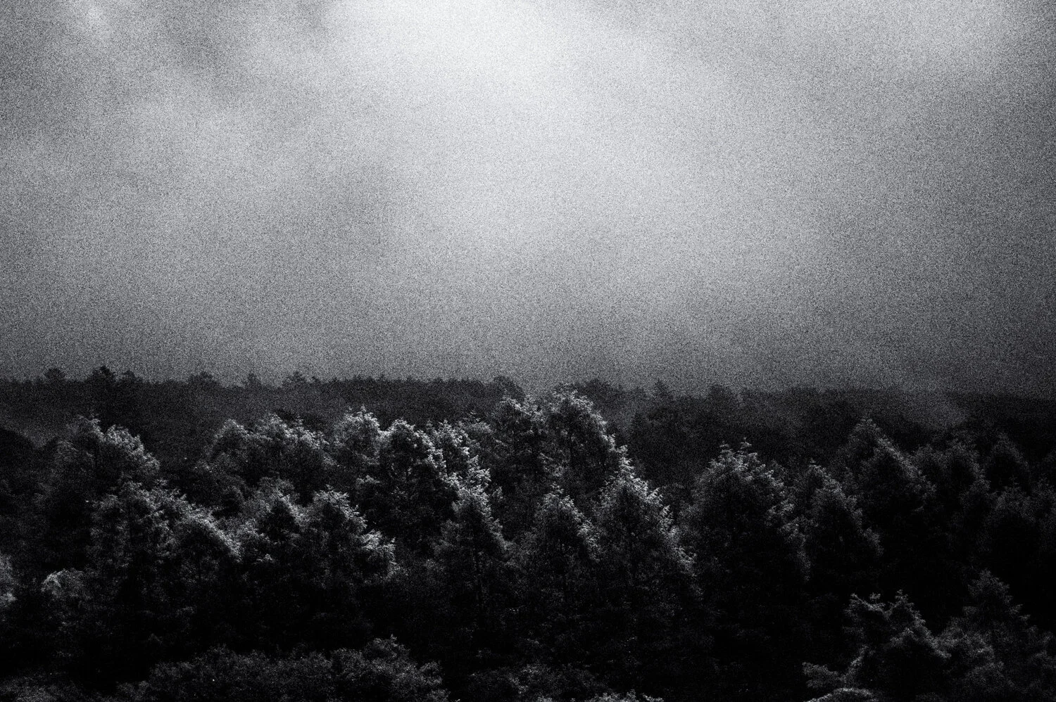 Yatsugatake: rainy days