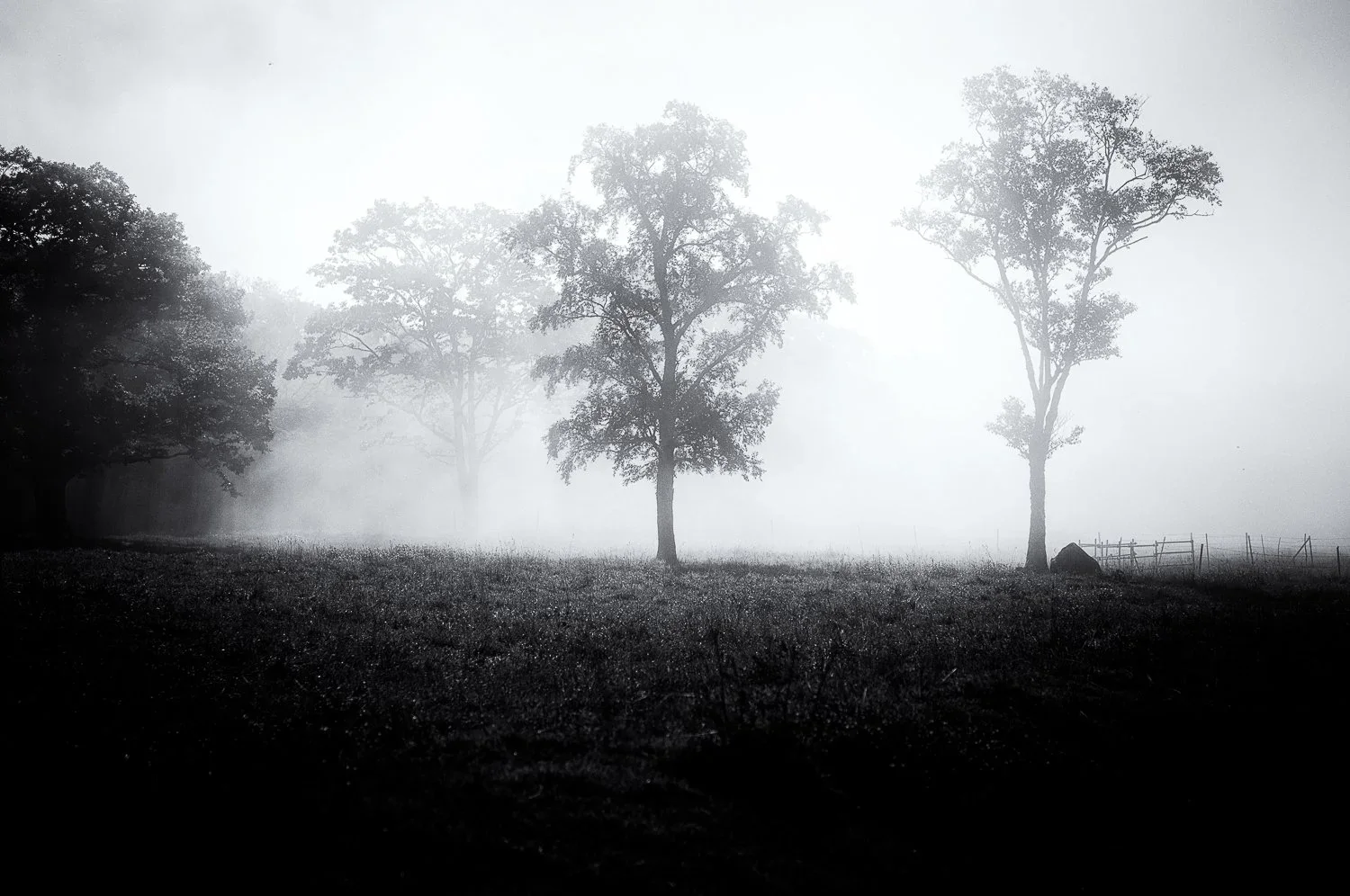 it will be a sunny day