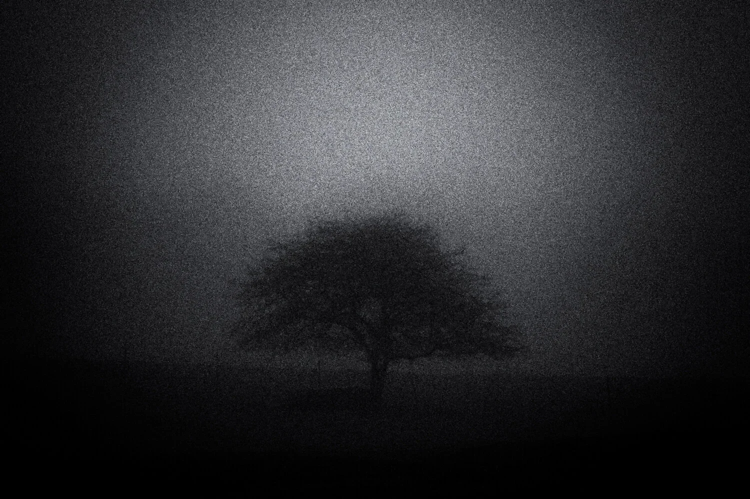 Yatsugatake: magic fog /21