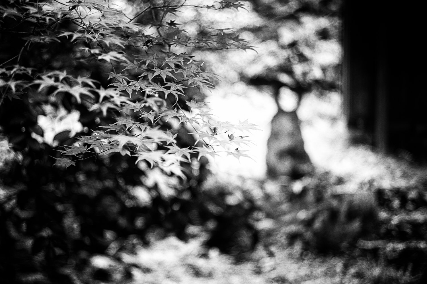 20180529_JW_052_Master.jpg