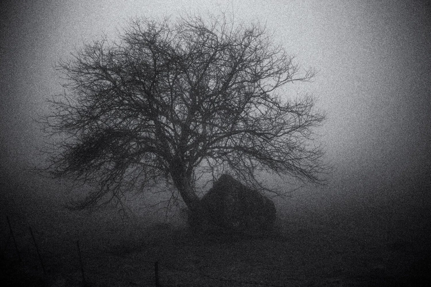 Yatsugatake: magic fog /6