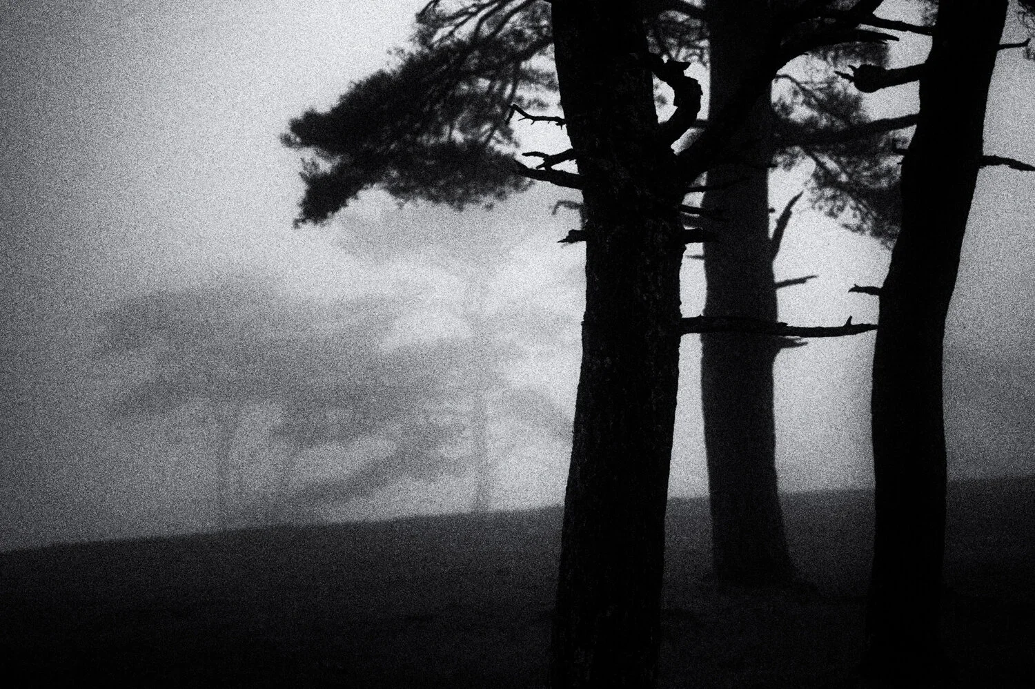 Yatsugatake: magic fog /20