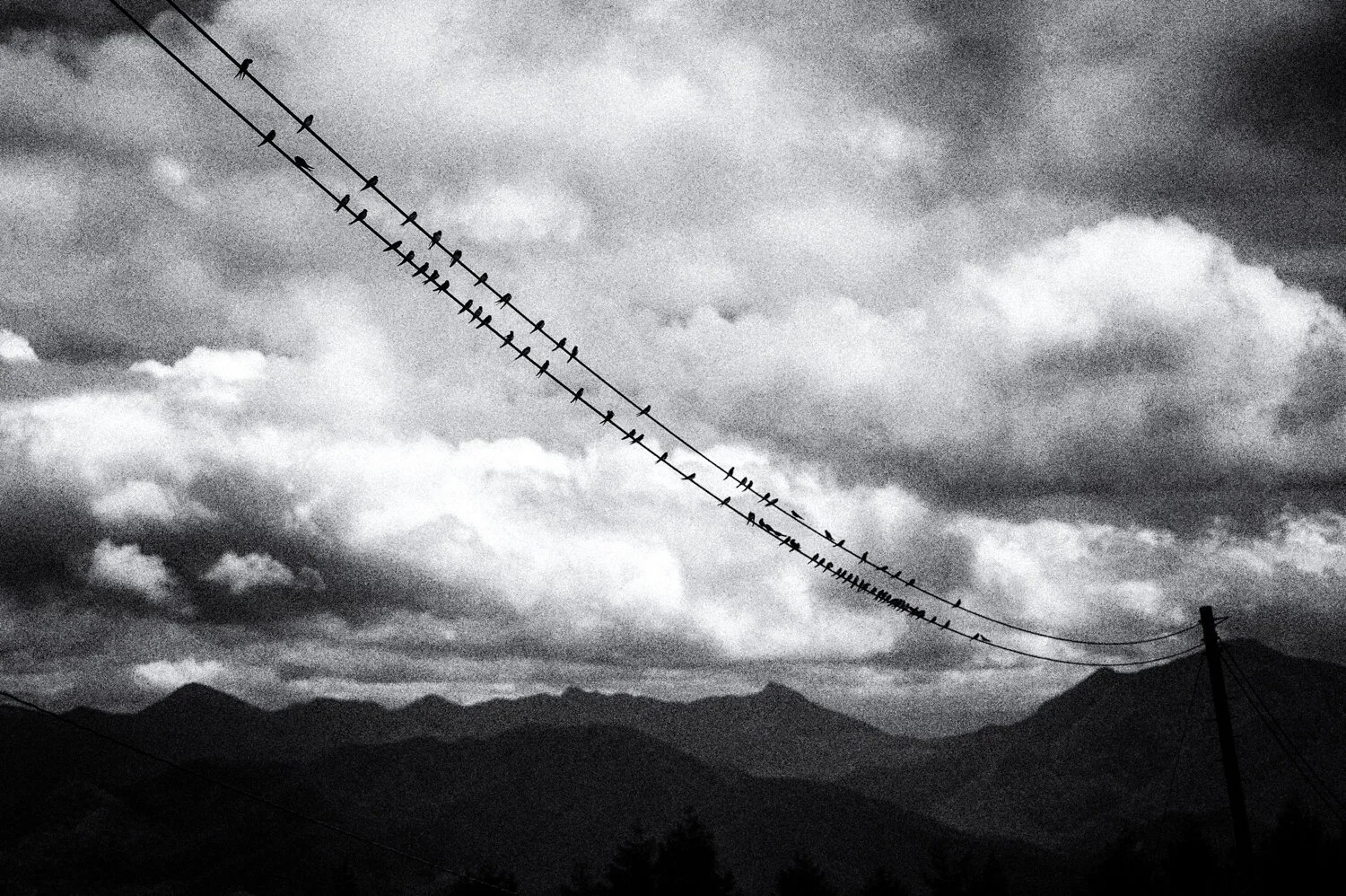 Yatsugatake: preparing to fly off