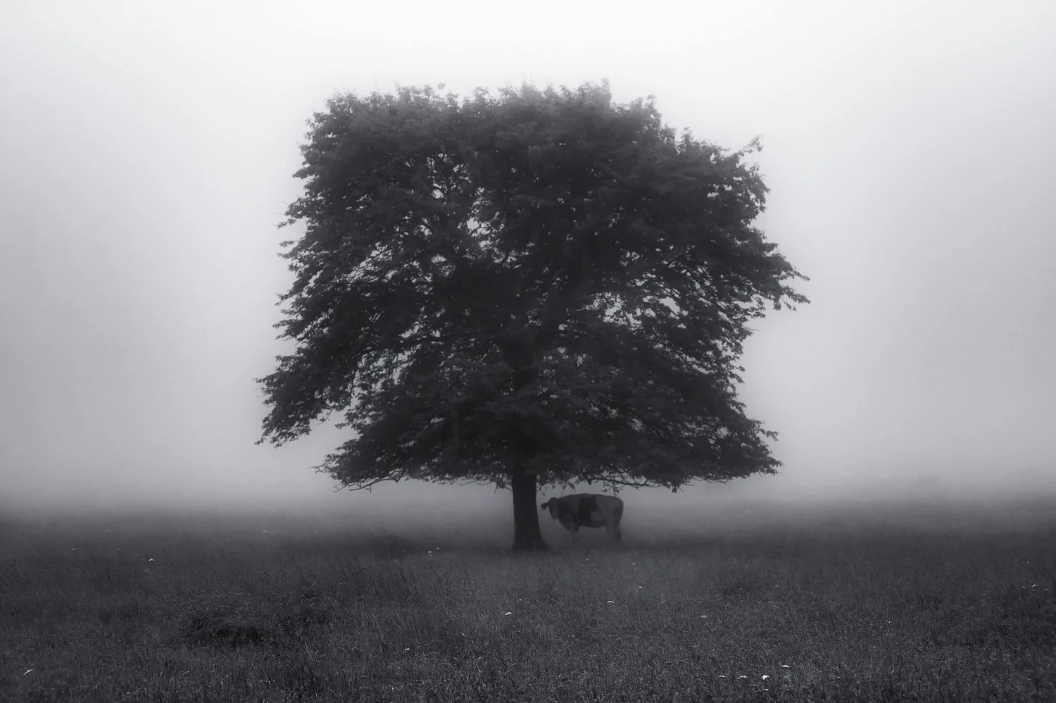 Yatsugatake: untitled