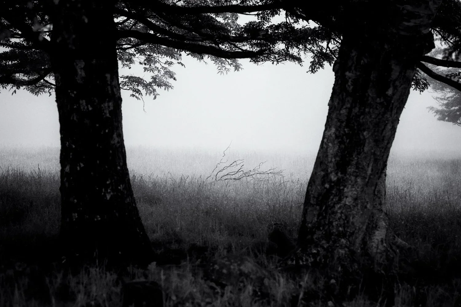 Yatsugatake: details...