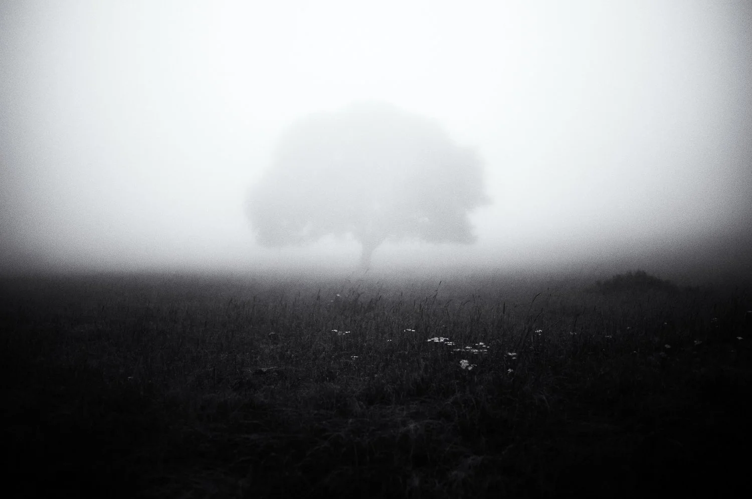 silence