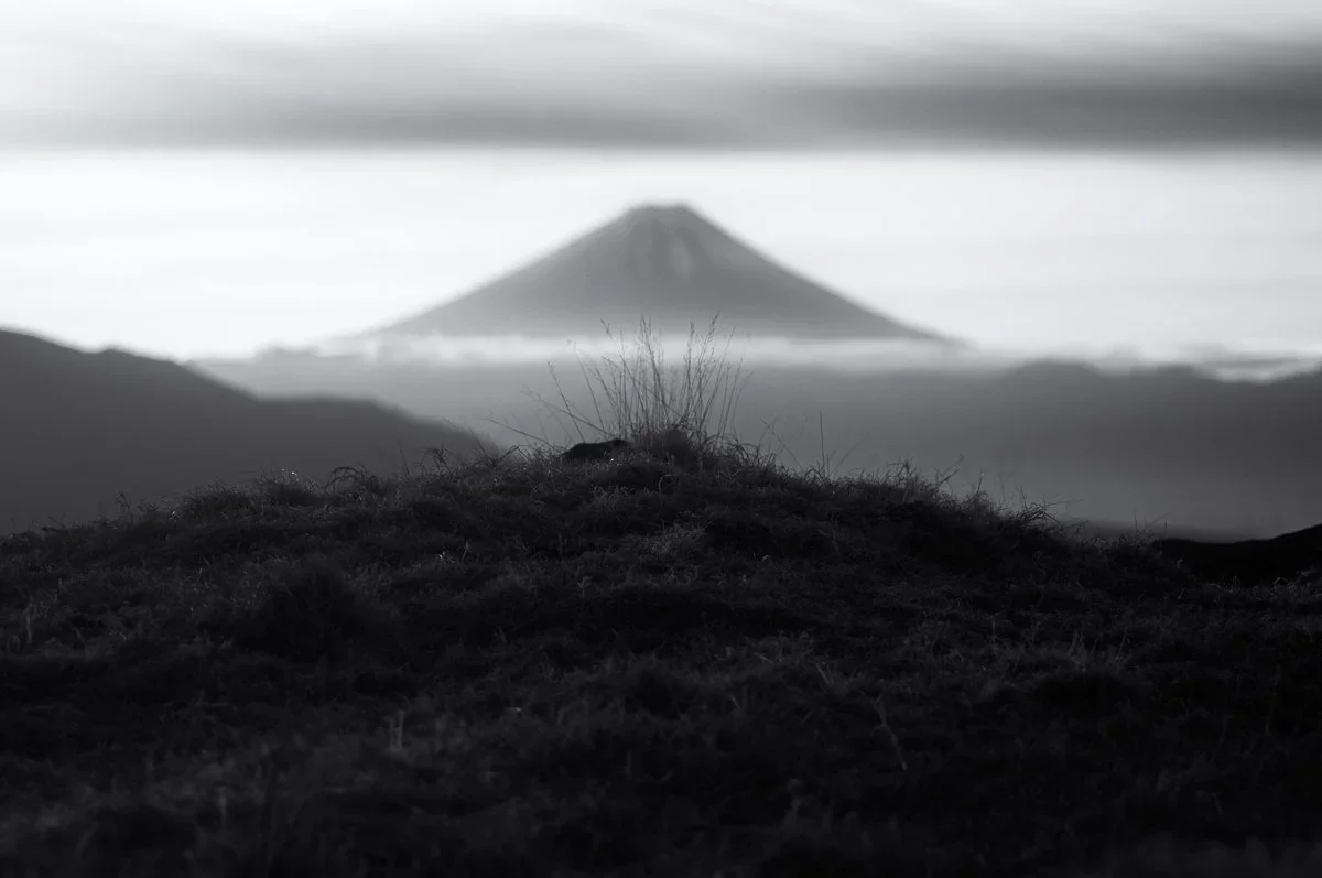 silent Fuji