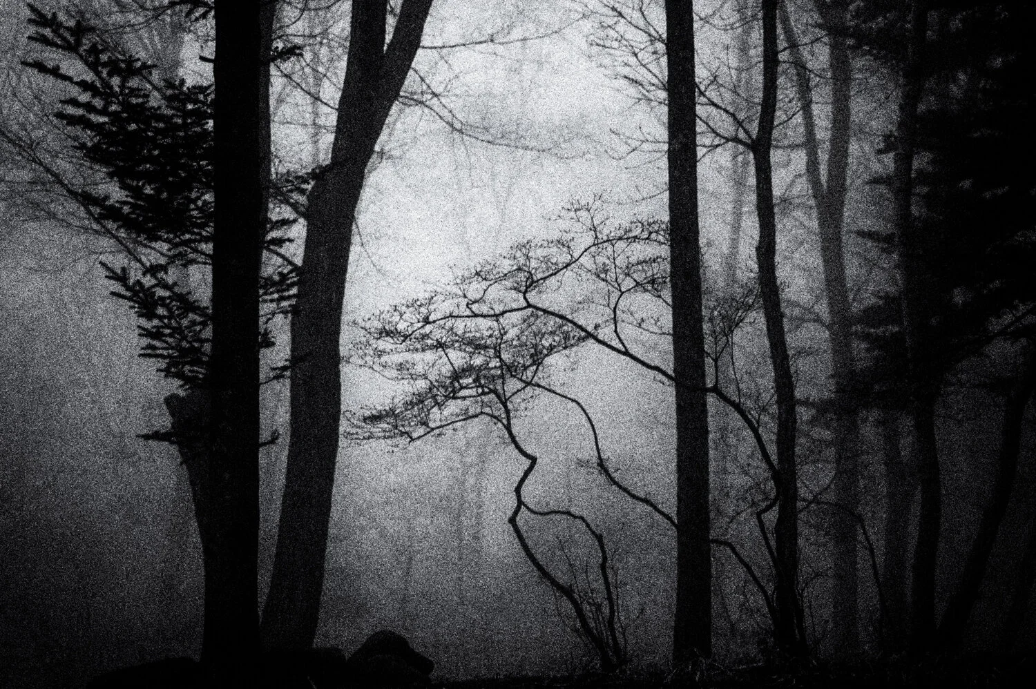 Yatsugatake: waiting for spring /4