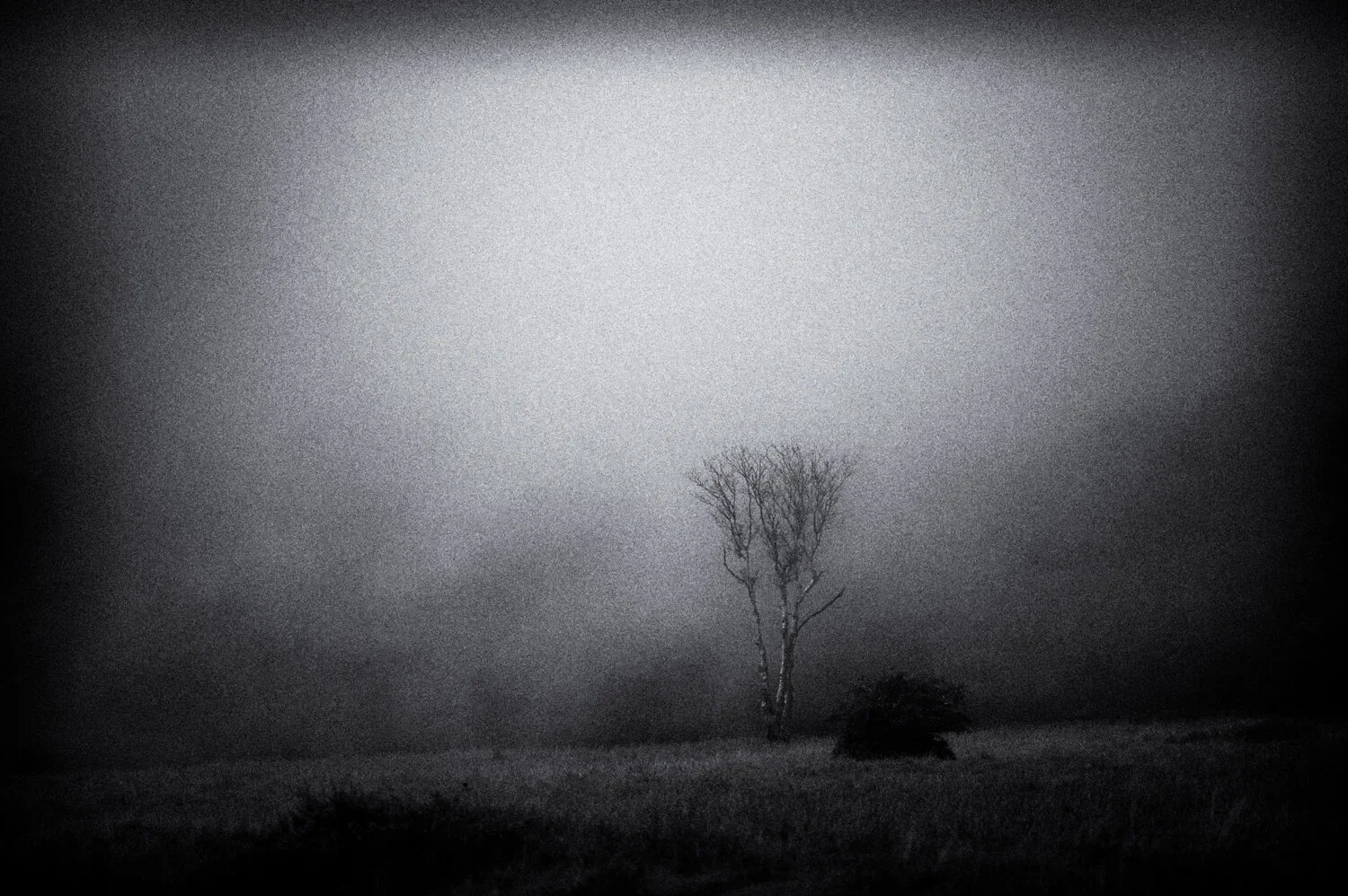 Yatsugatake: belonging