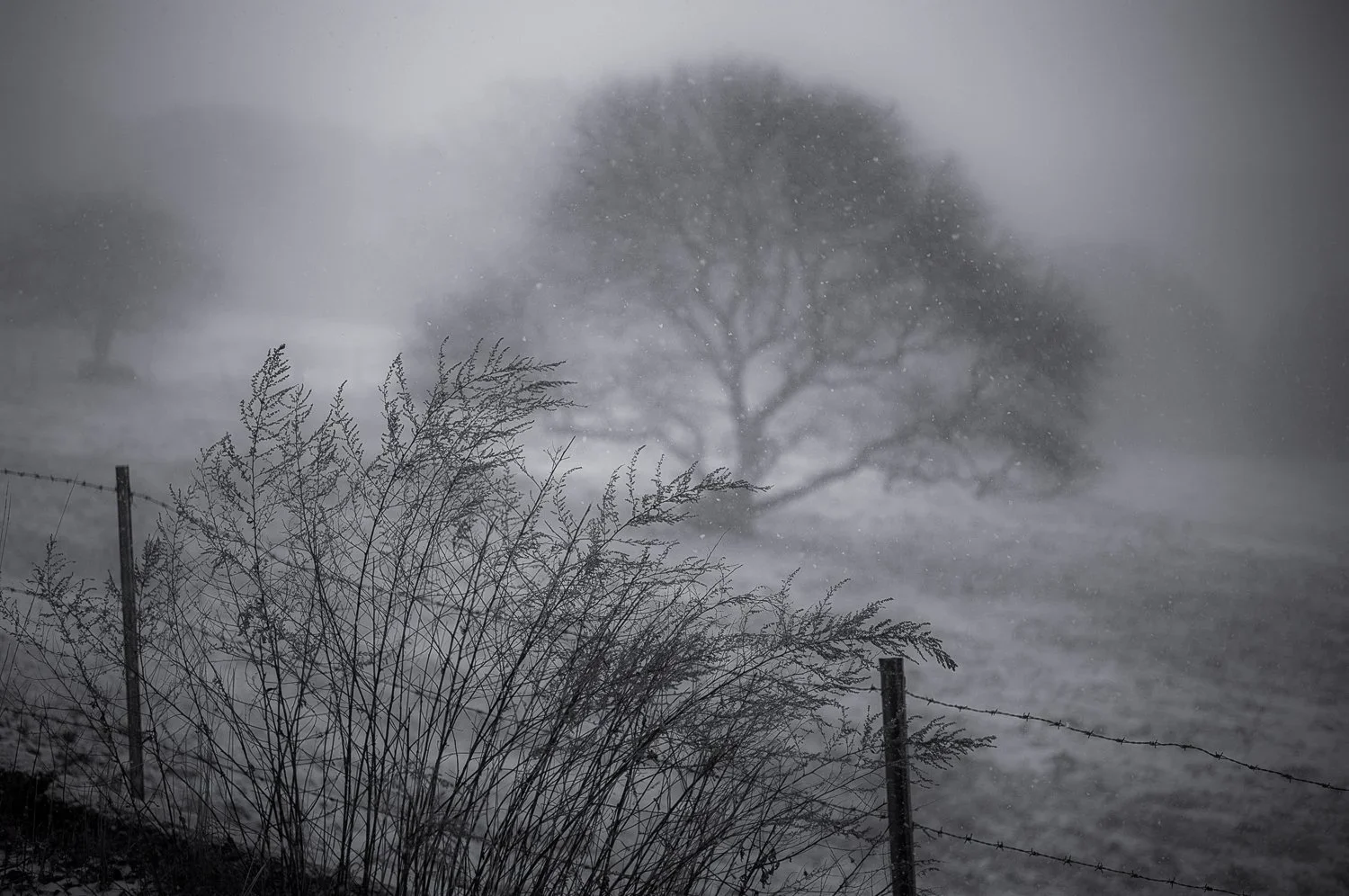 not alone in the cold /2