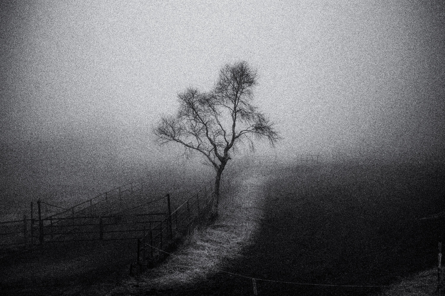 Yatsugatake: waiting for spring /3