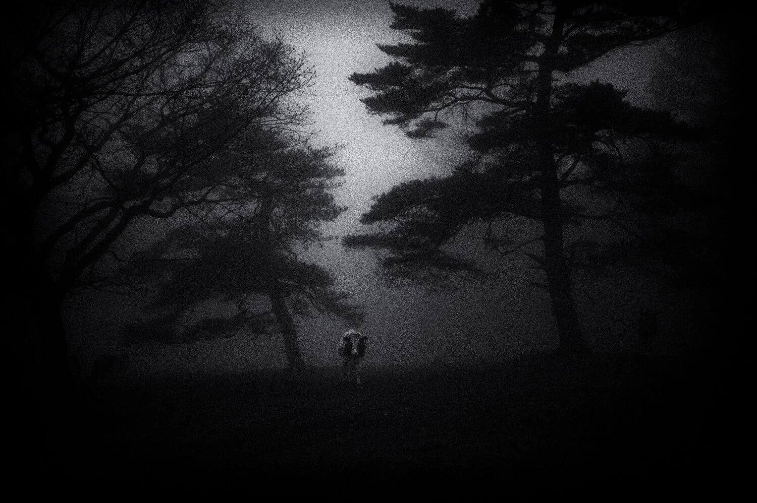 Yatsugatake: night is setting in