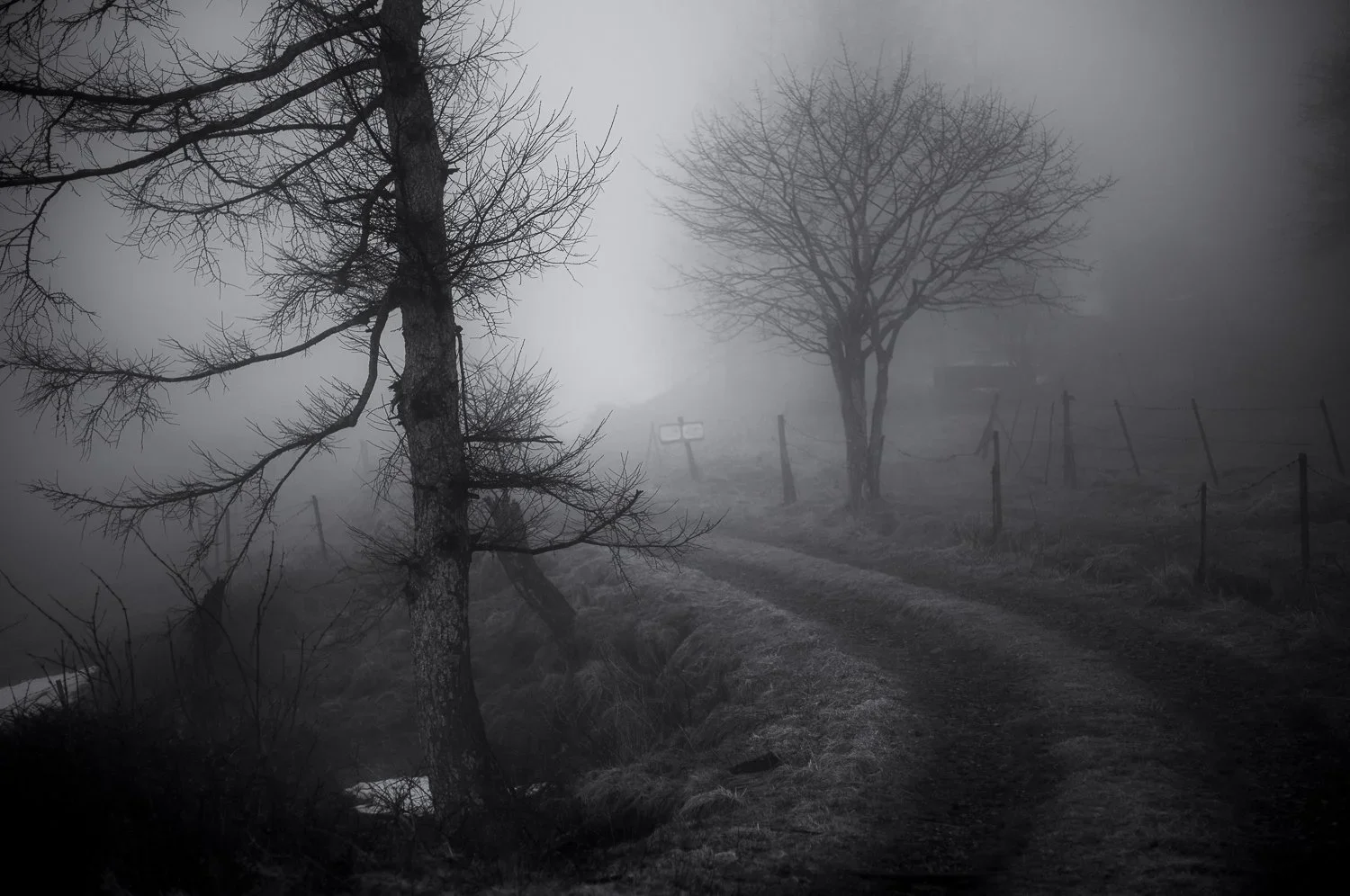 spring is in the air