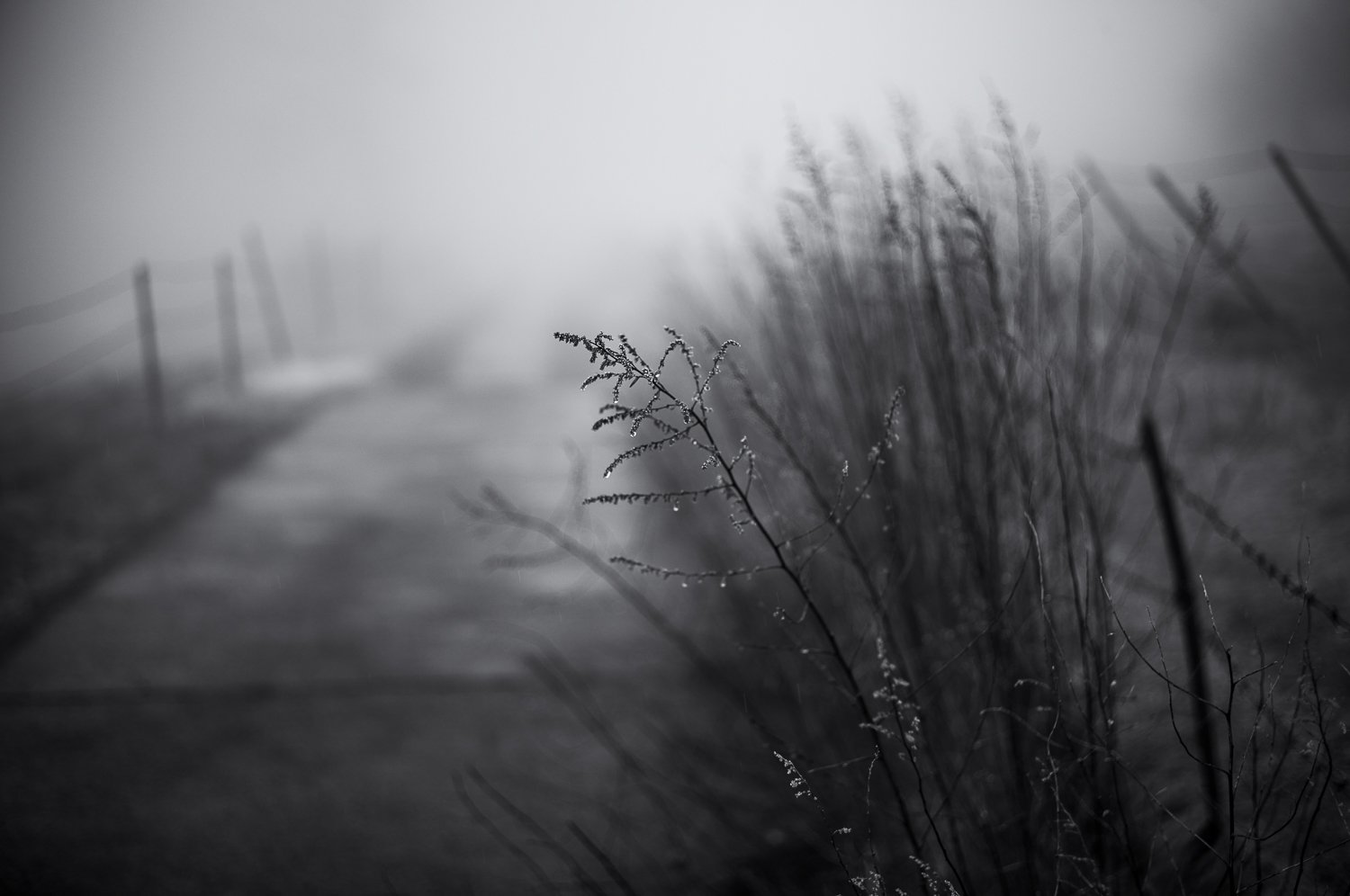 spring is in the air /8