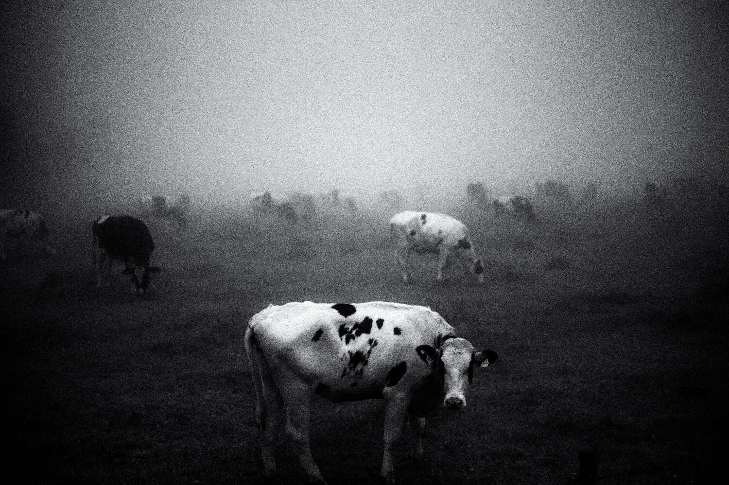 Yatsugatake: hidden numbers