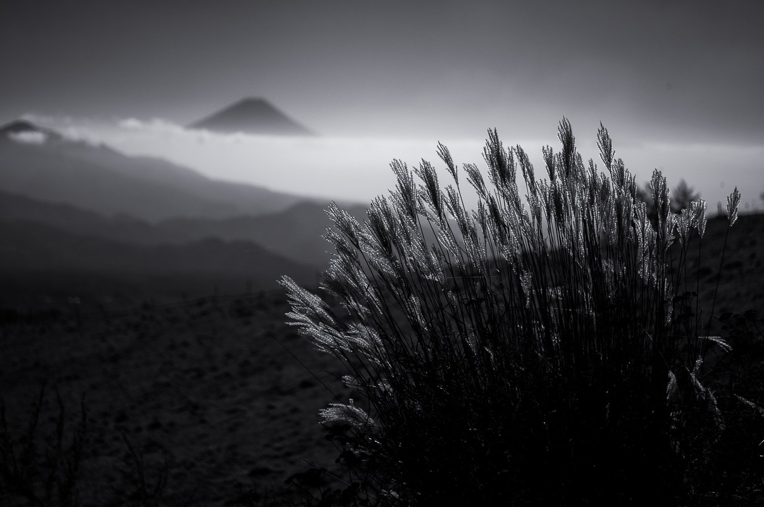 Mt. Fuji /4