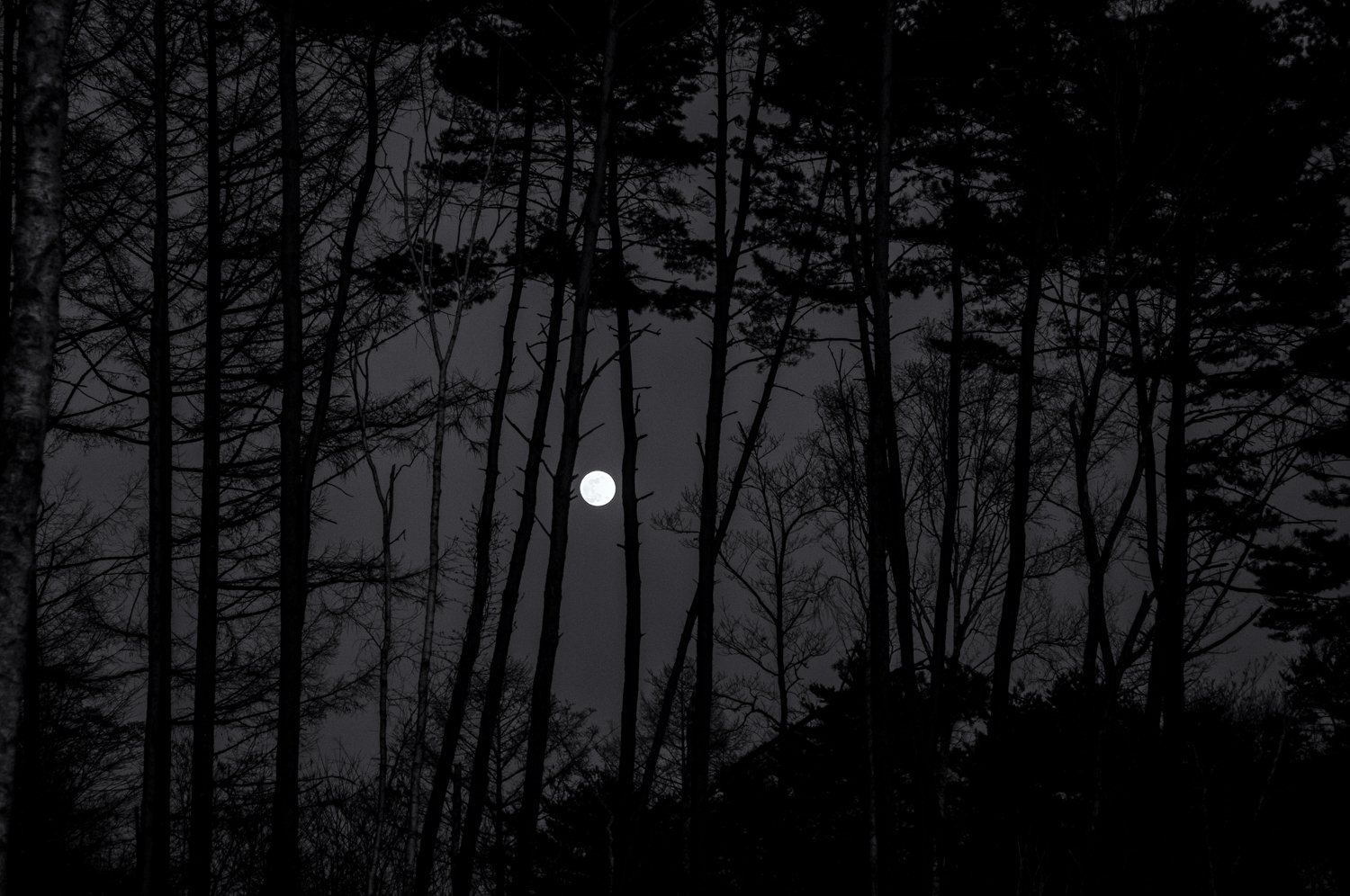 full moon