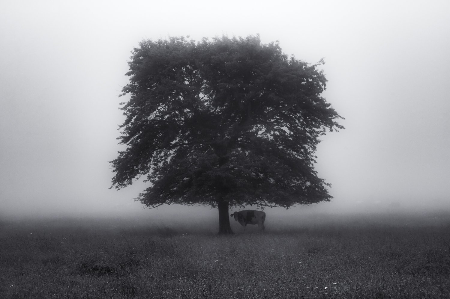 sheltered