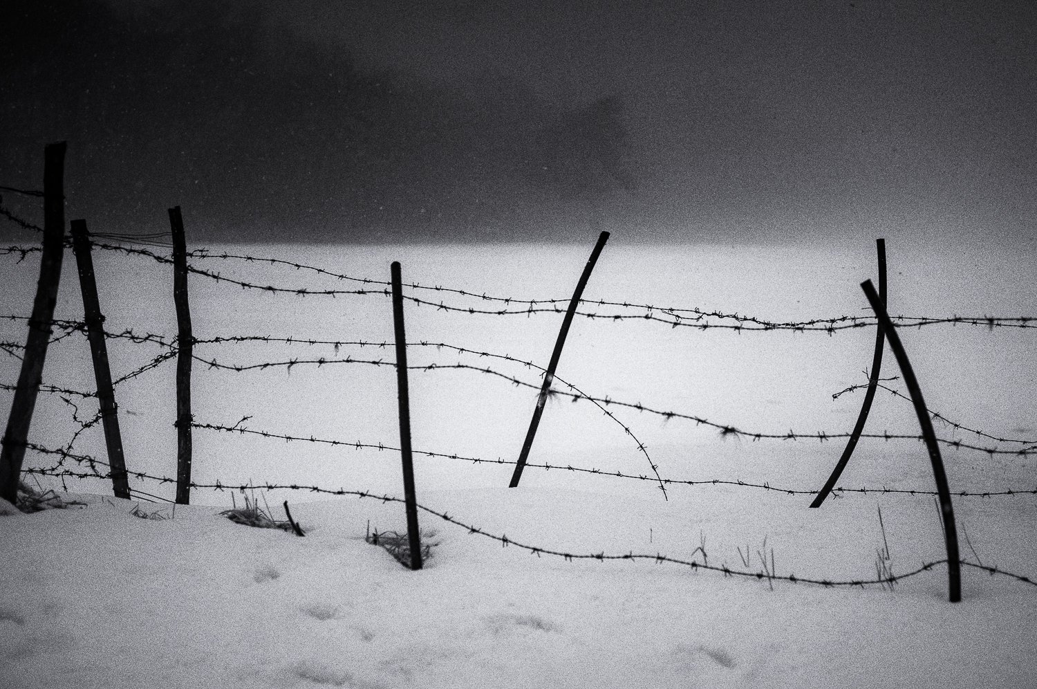 spring snow /2