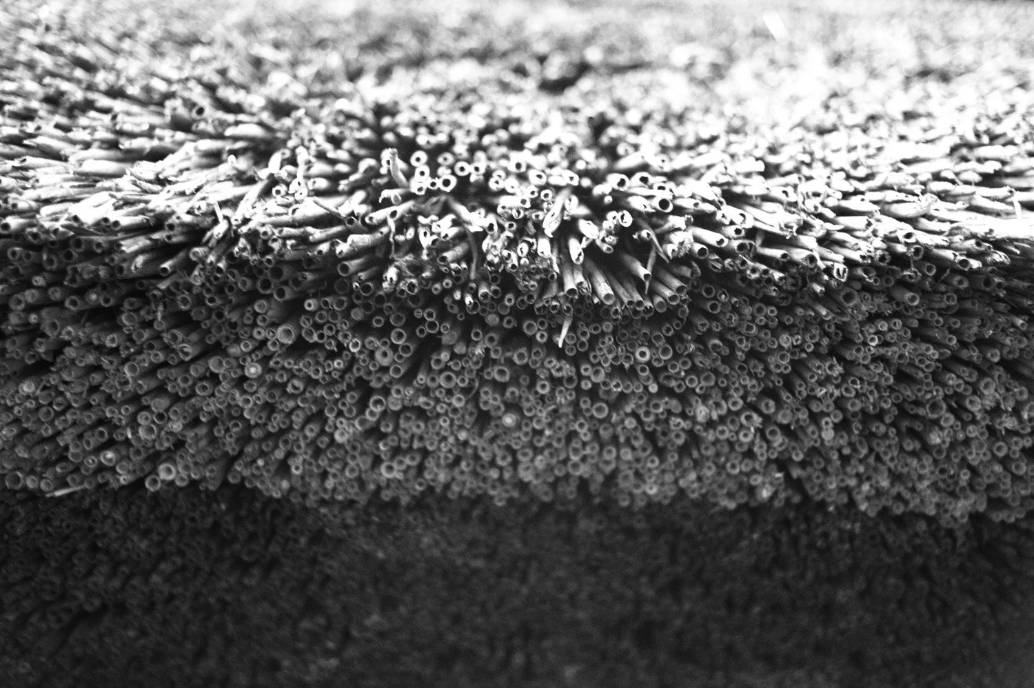 Mabuchicho, Omihachiman, Shiga