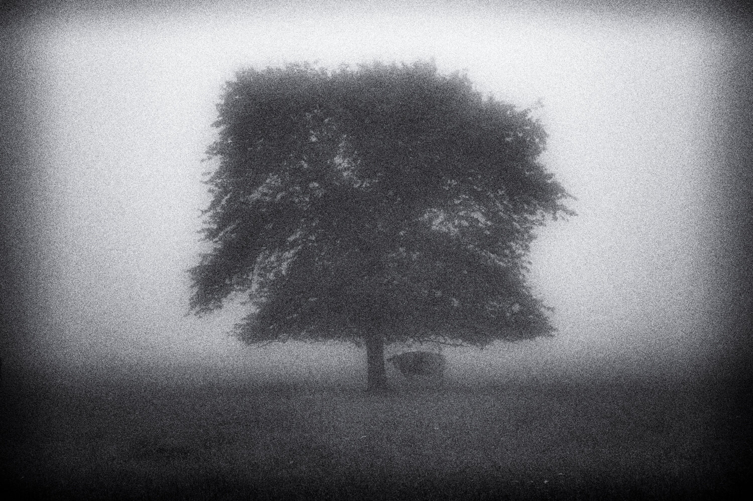 Yatsugatake: untitled